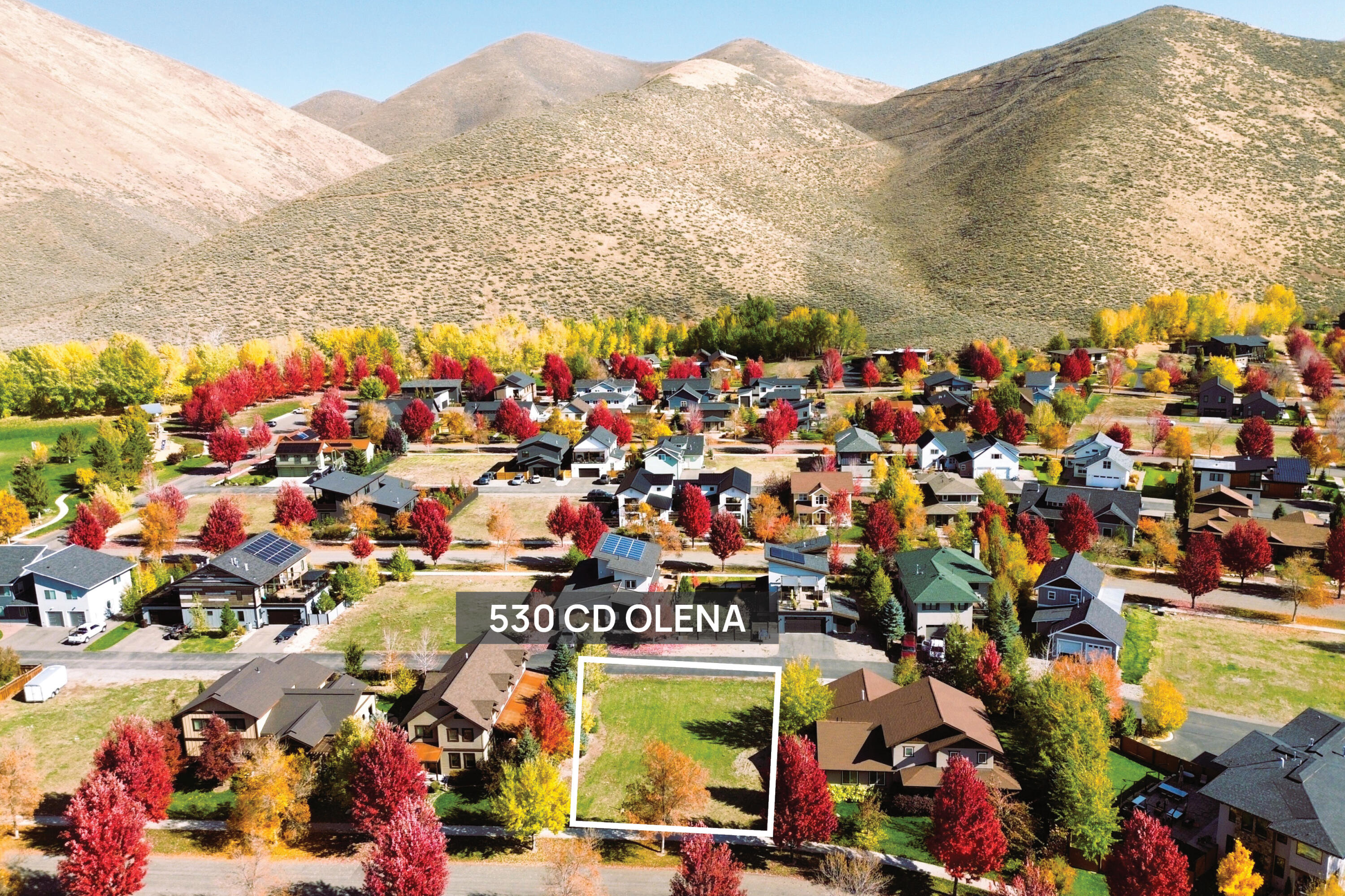 530 CD Olena Dr
