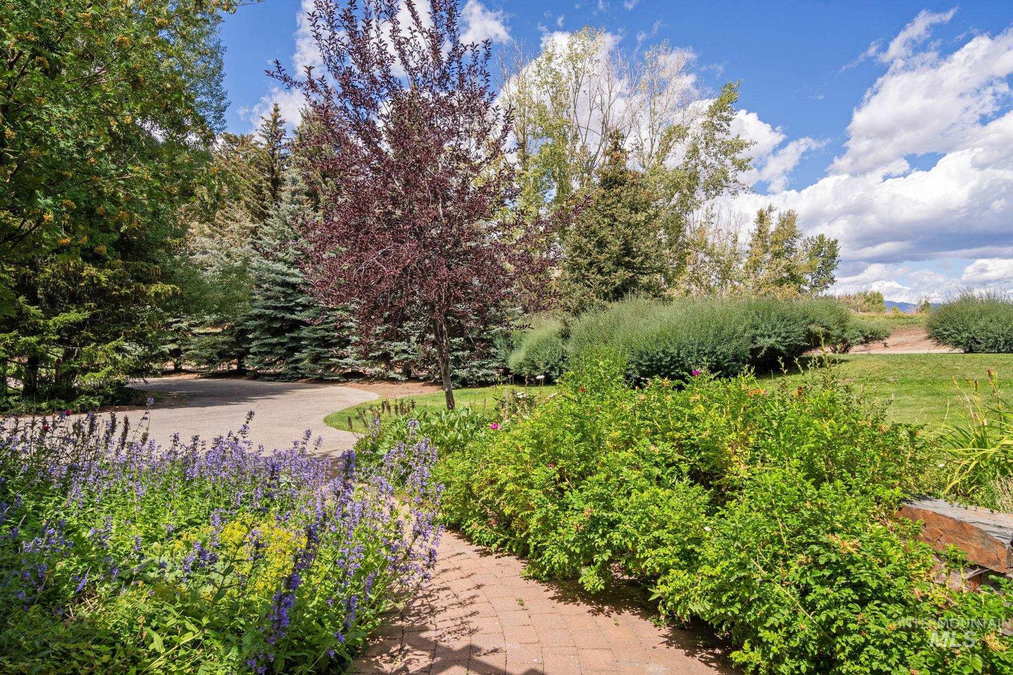 7 Rose Ct