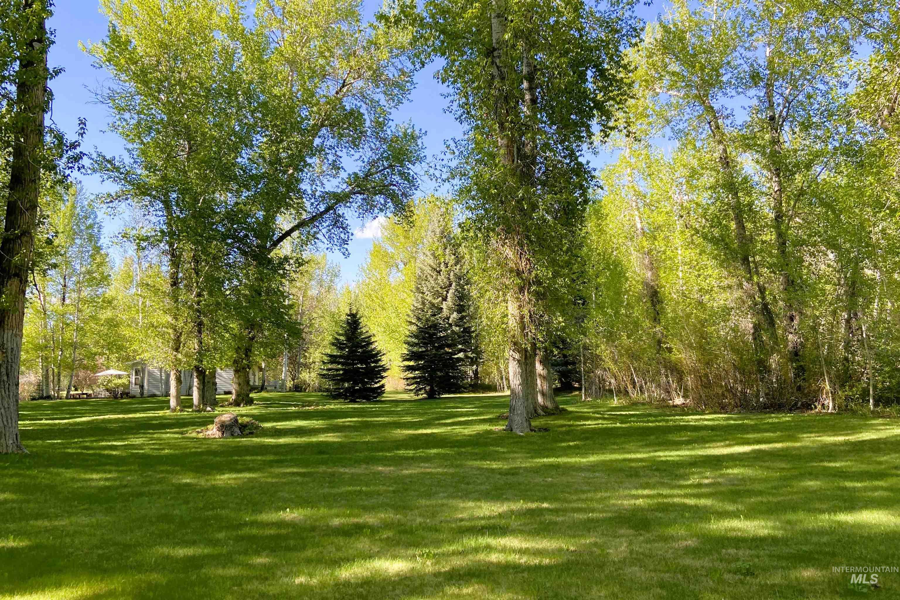 100 & 200 Trout Lane