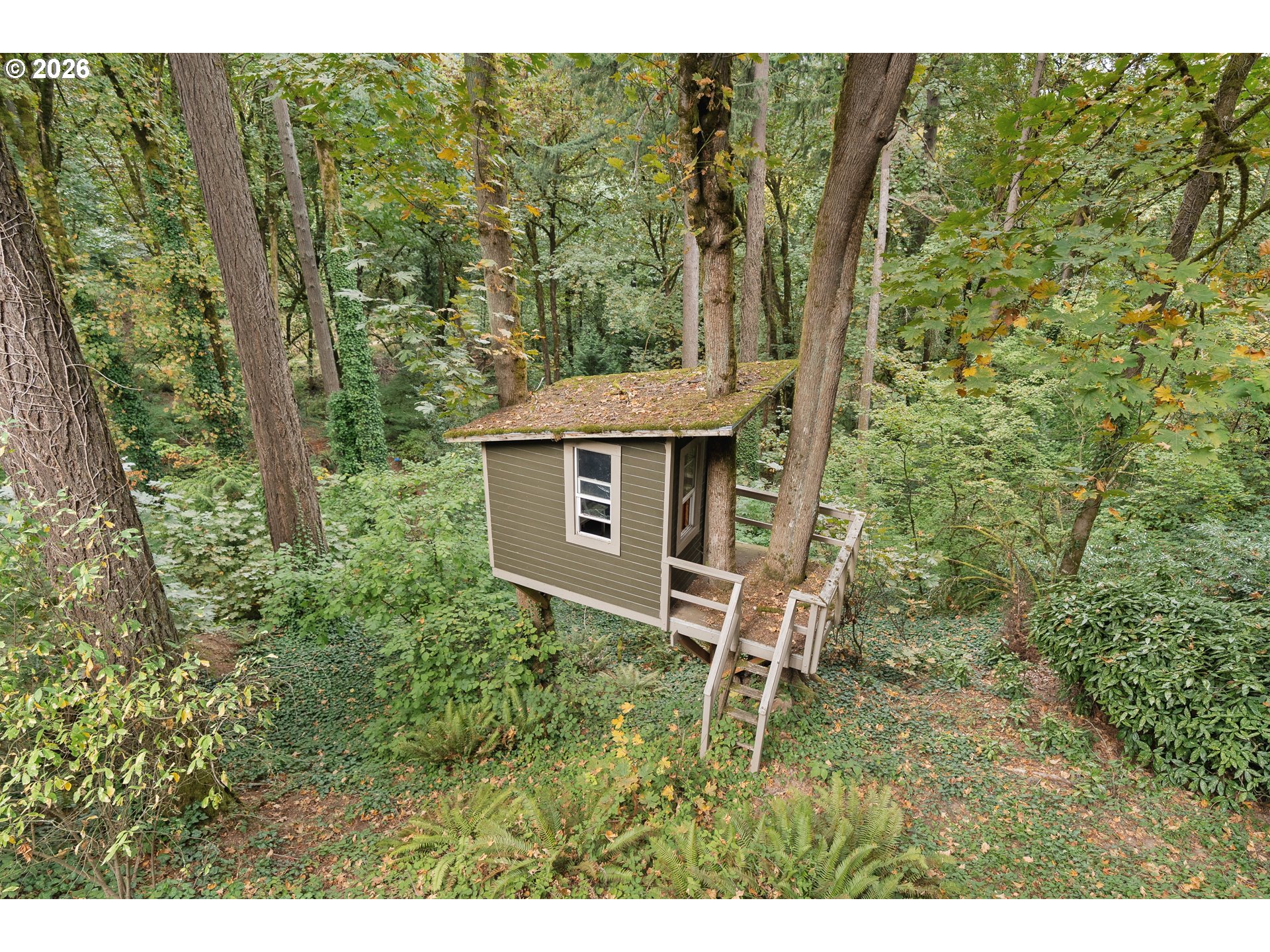 2727 SW PATTON CT