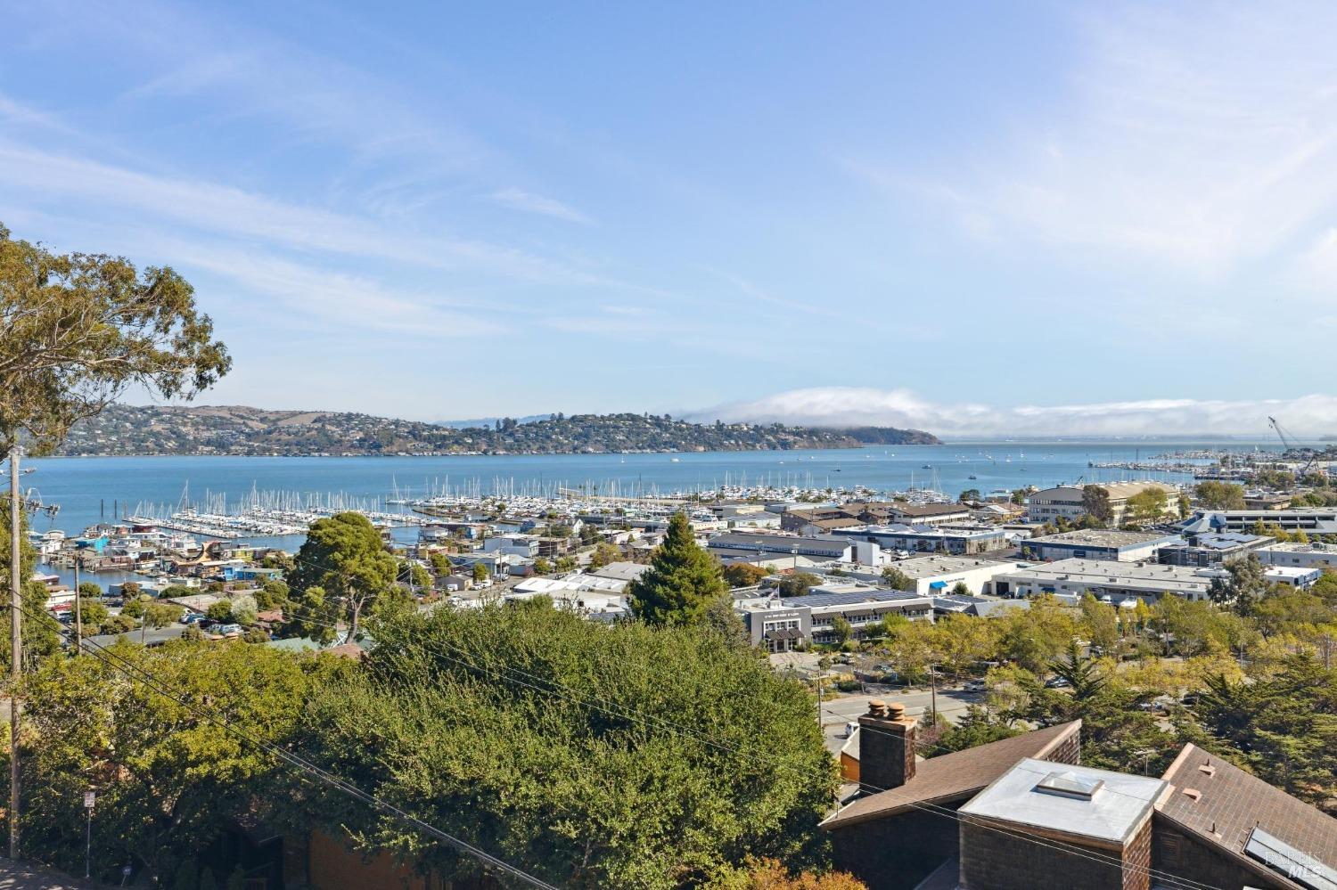 345 Eden Roc Drive