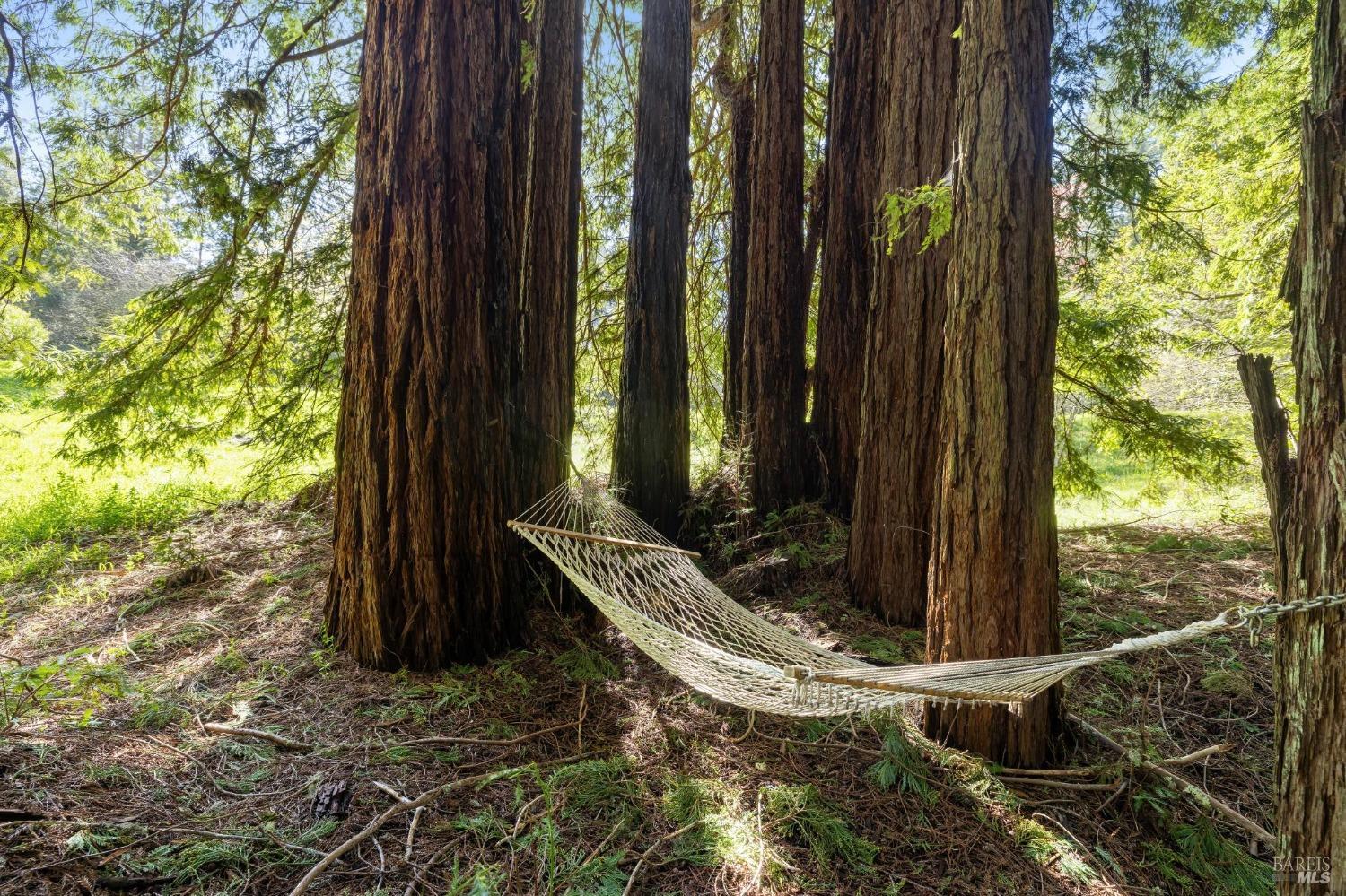 16090 Coleman Valley Road