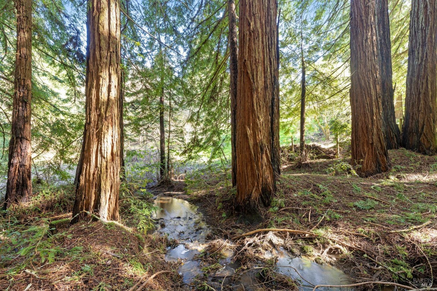 16090 Coleman Valley Road