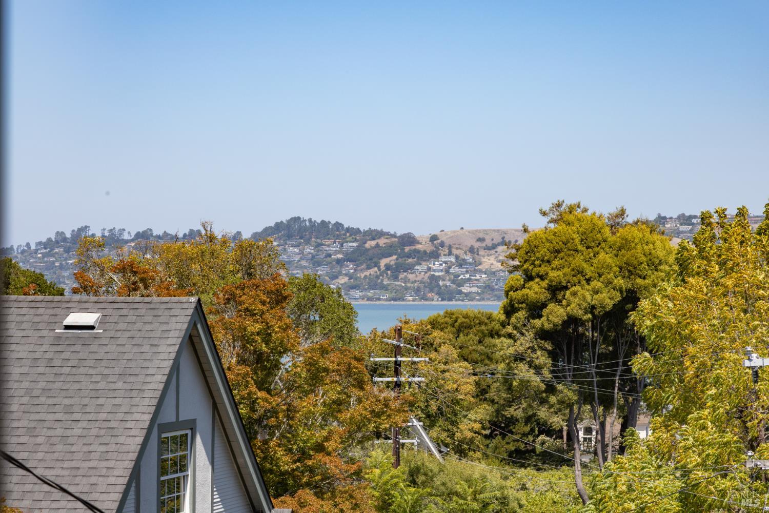 24 Cazneau Avenue
