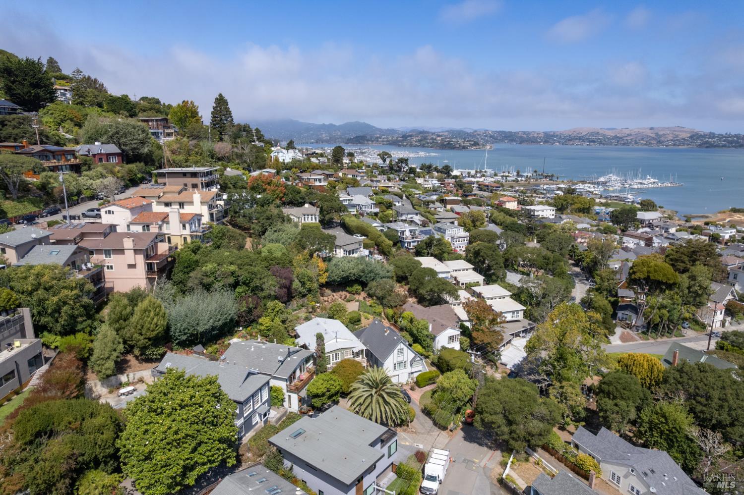 24 Cazneau Avenue