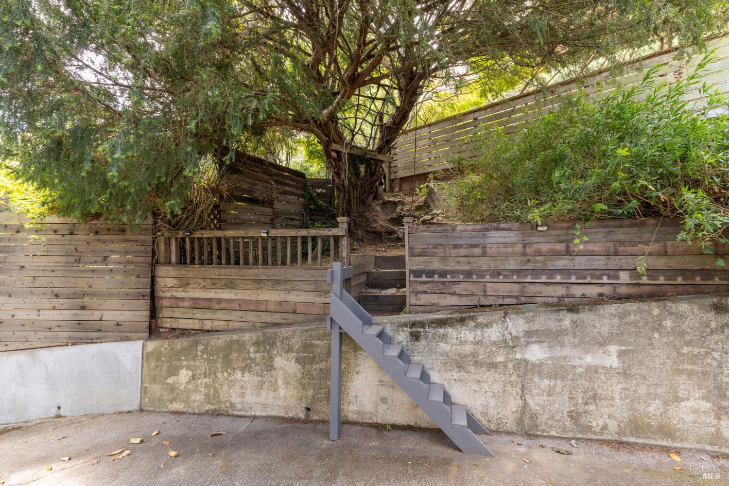 24 Cazneau Avenue