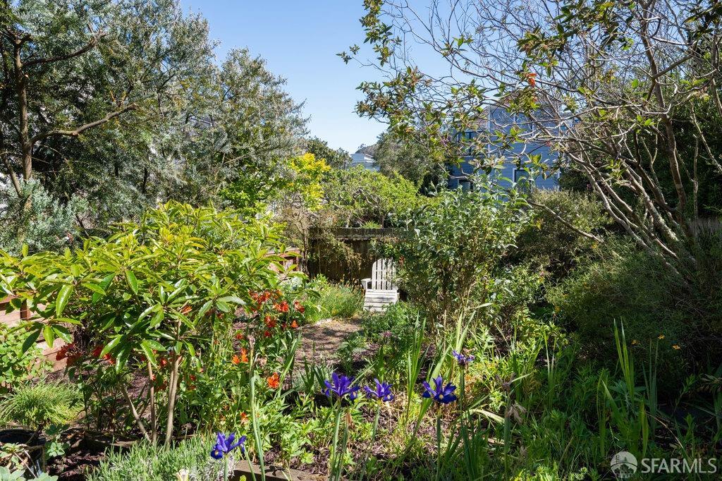 117 Parnassus Avenue