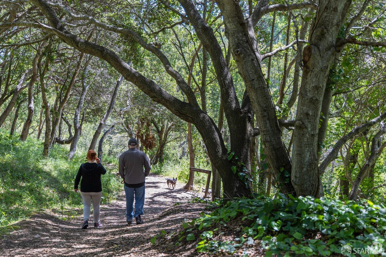 300 Murchison Drive # 319