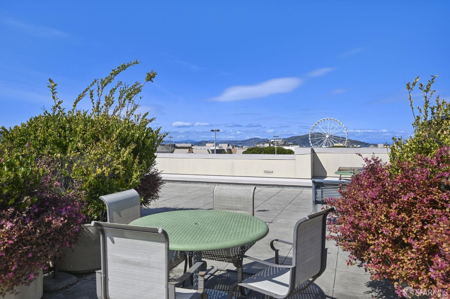 329 Bay Street # 204