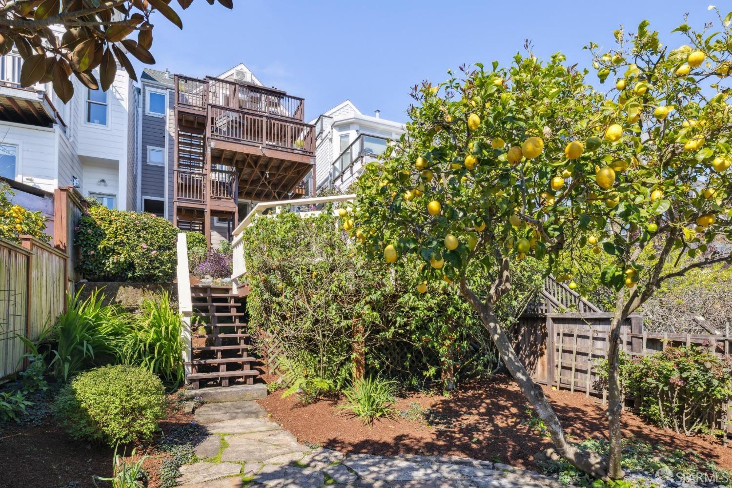 441 Douglass Street