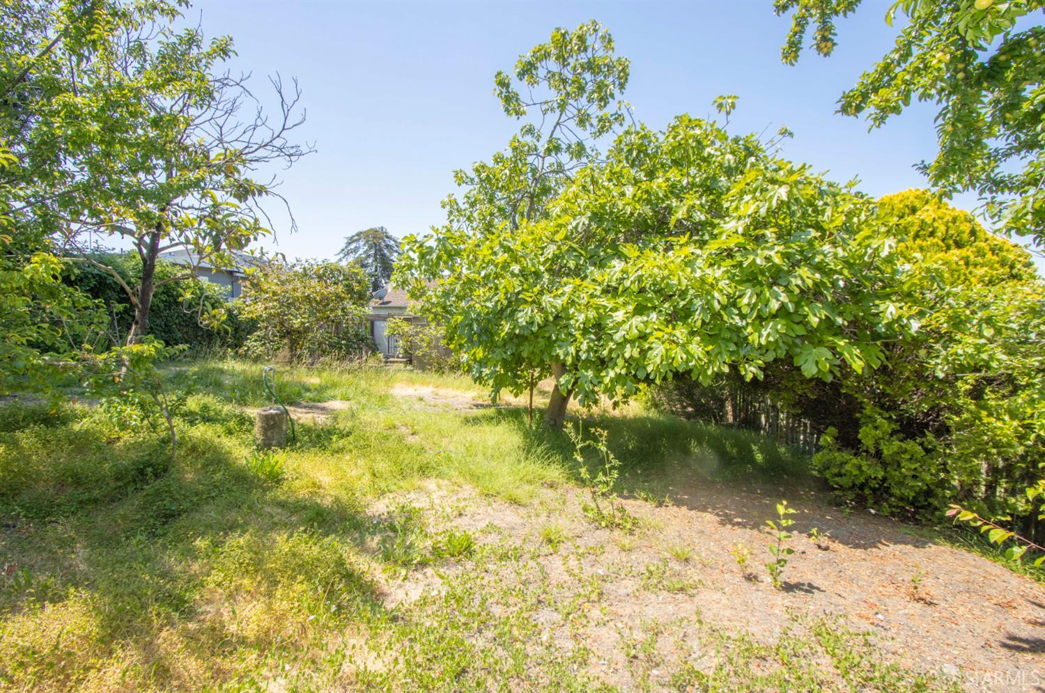 7520 Sunkist Drive