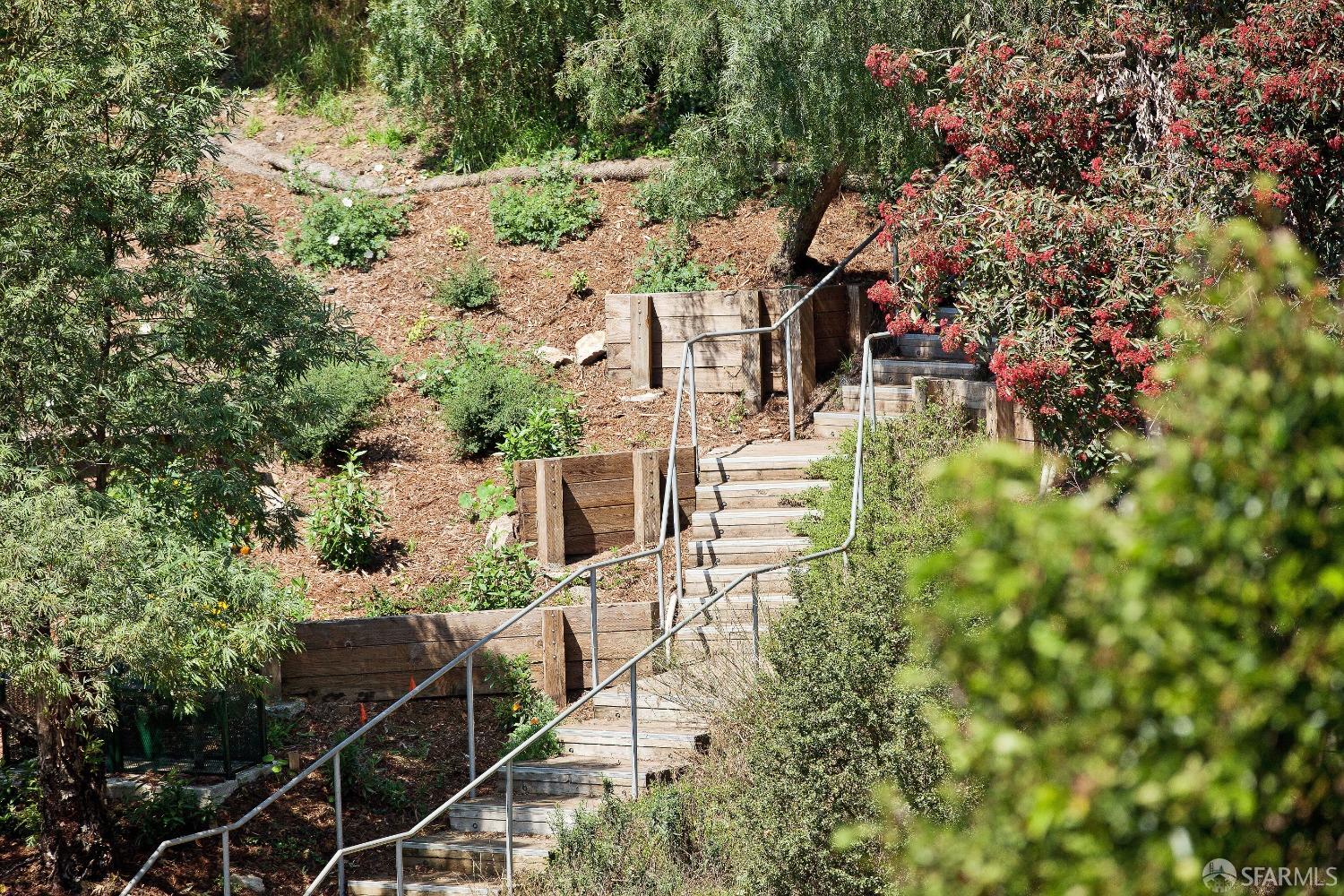 355 Buena Vista Avenue