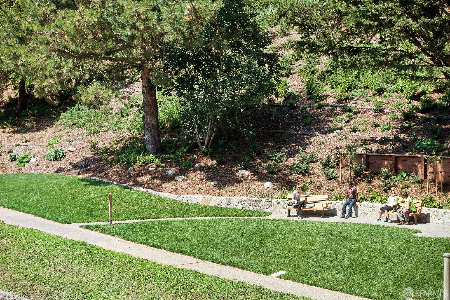 355 Buena Vista Avenue