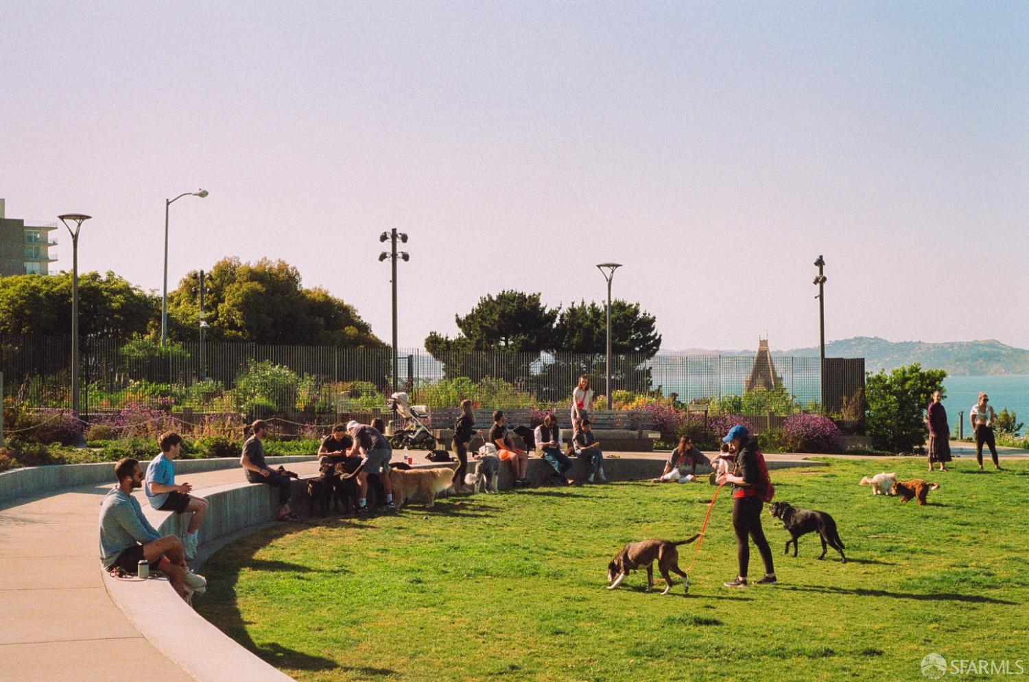 915 North Point Street # C3