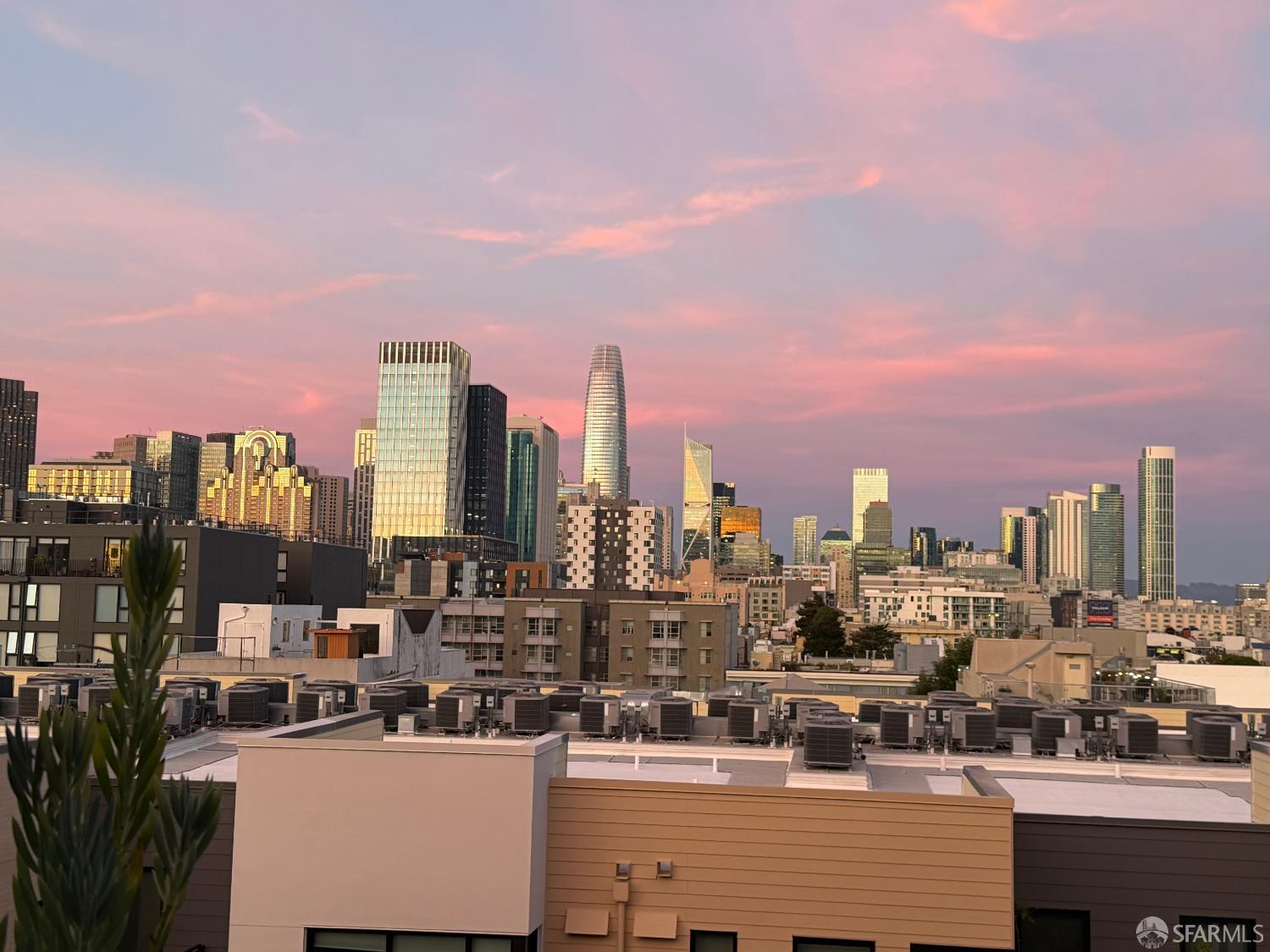 60 Rausch Street # 407