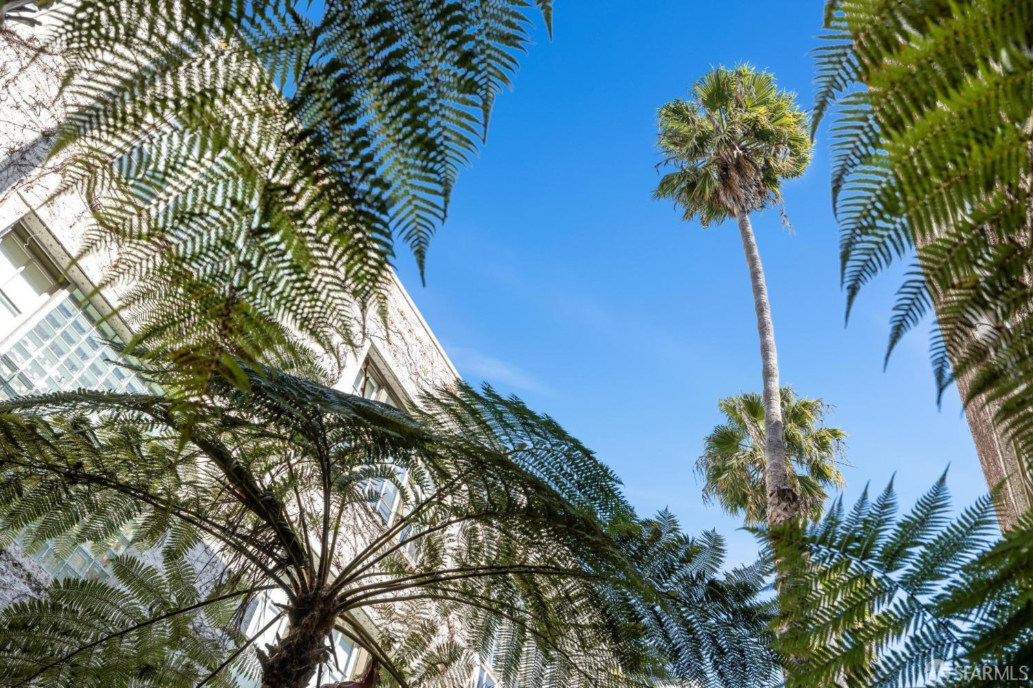 461 2nd Street # T558