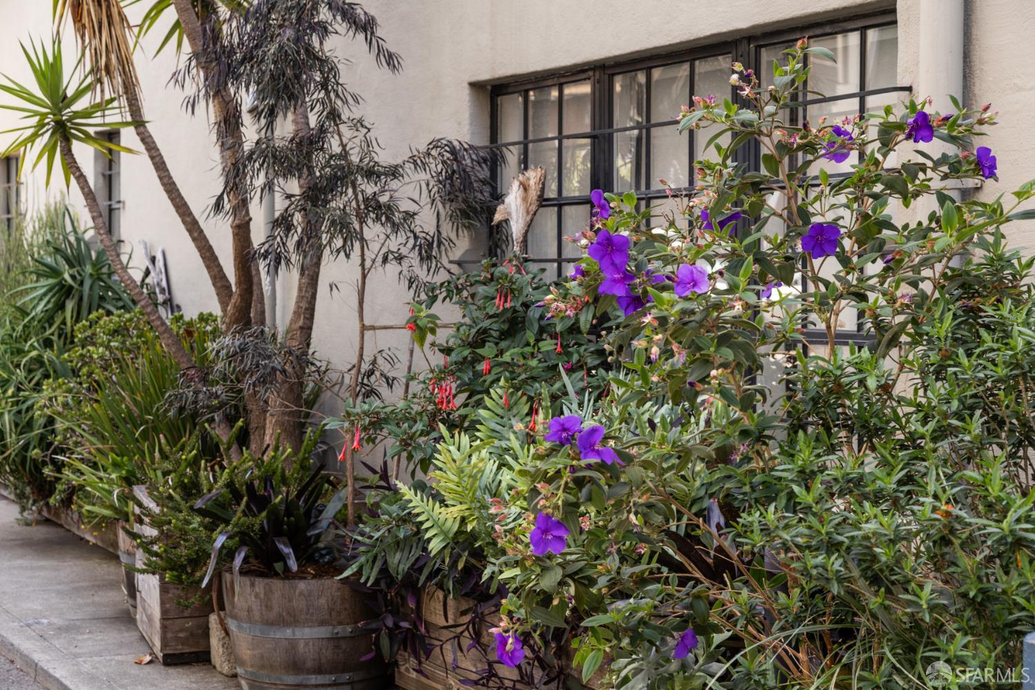 591 Francisco Street
