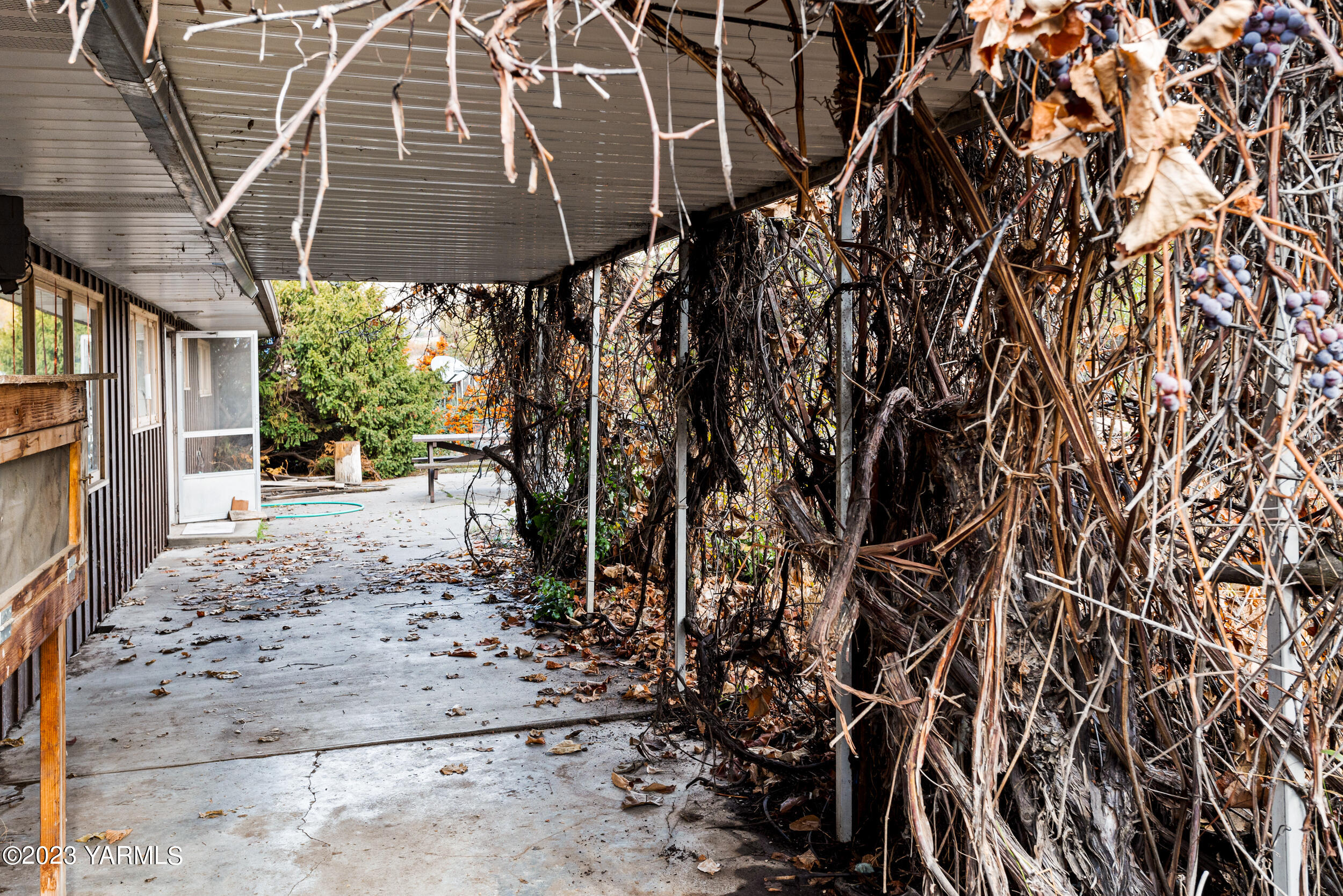 33 Moore Ave