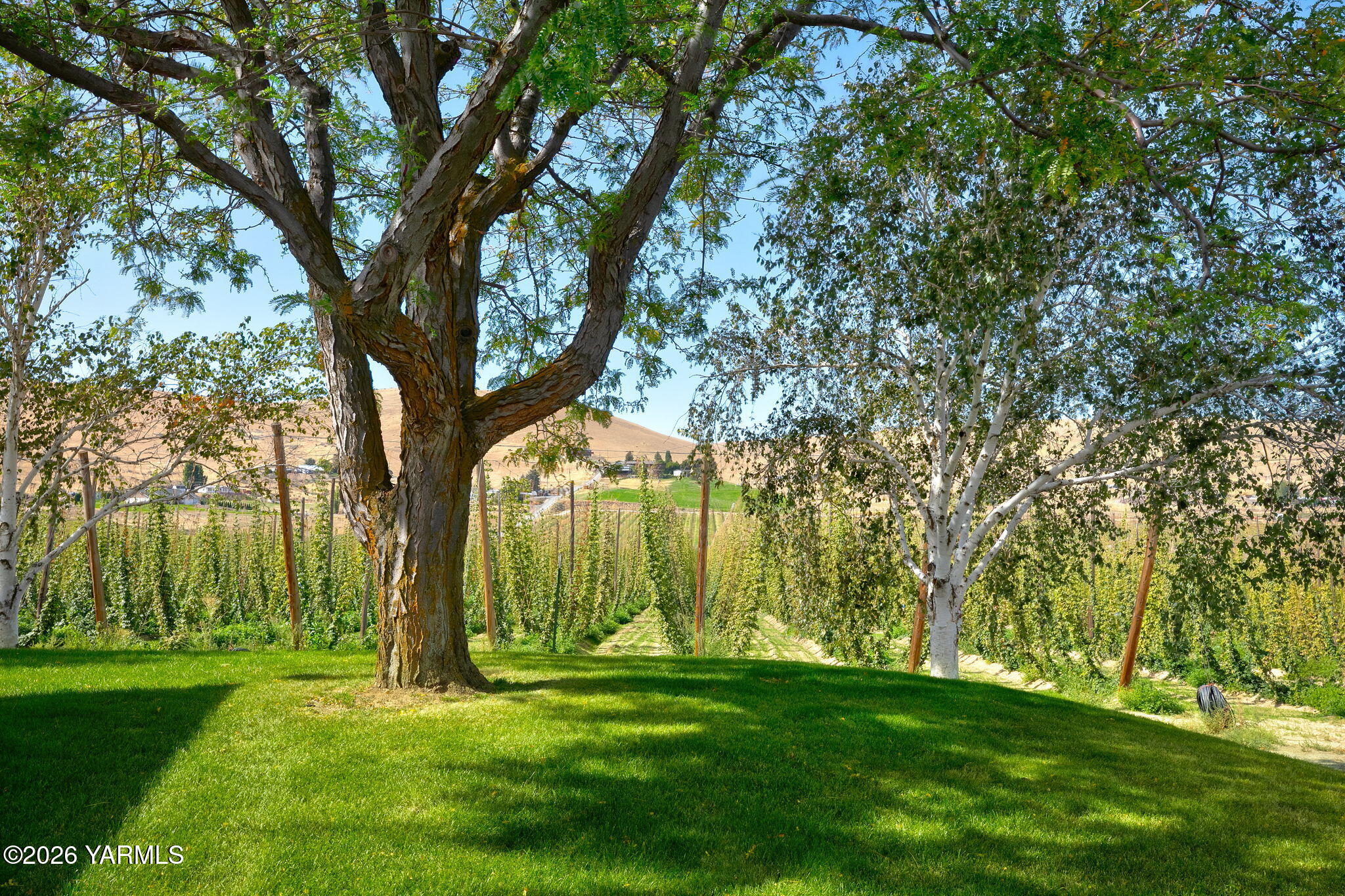 2000 Konnowac Pass Rd