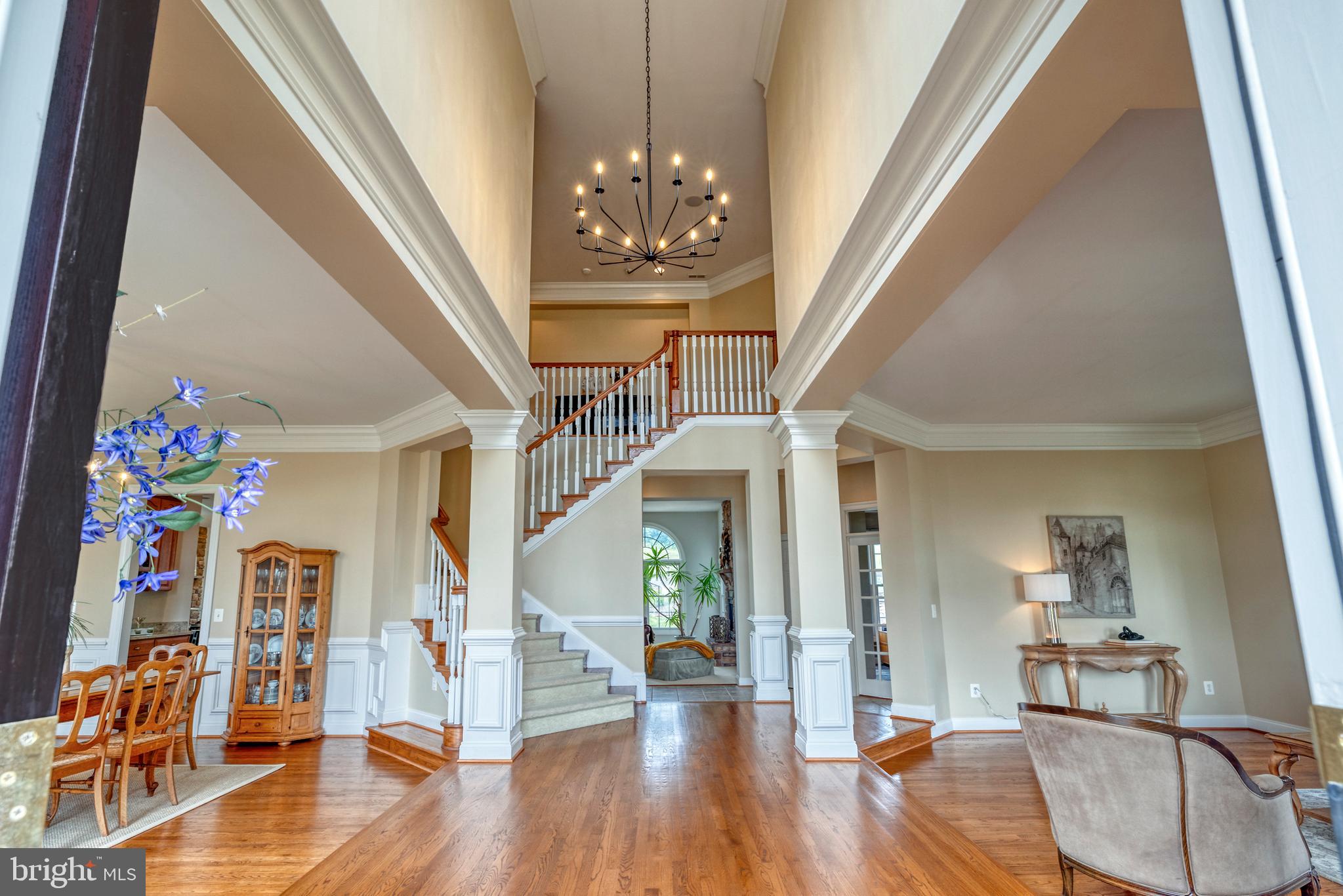 17227 Cannonade Dr