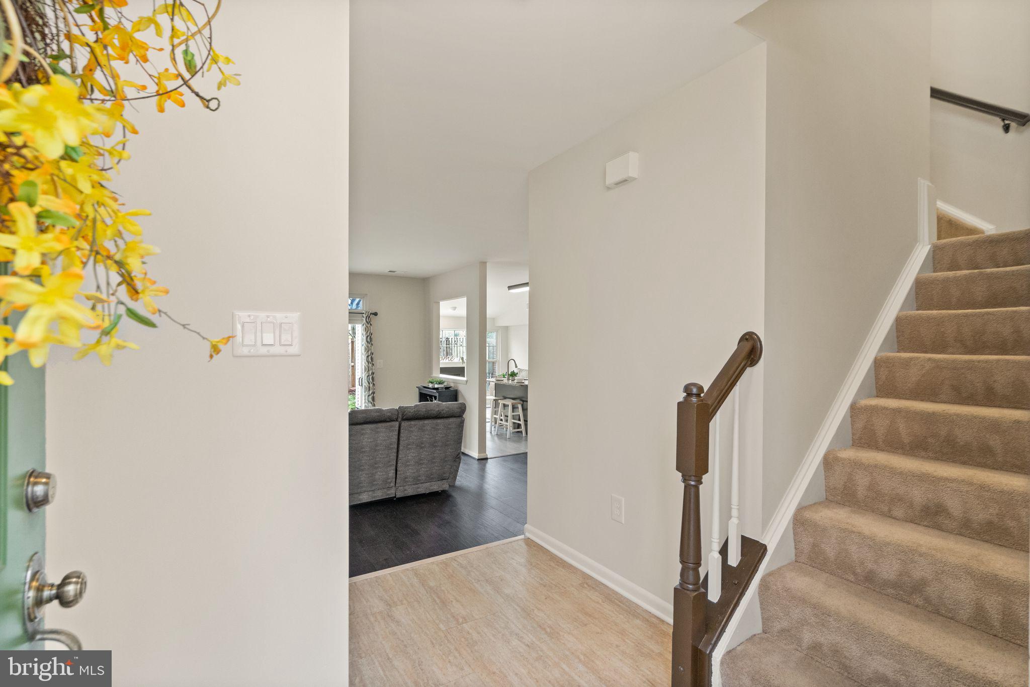 44146 Shady Glen Ter