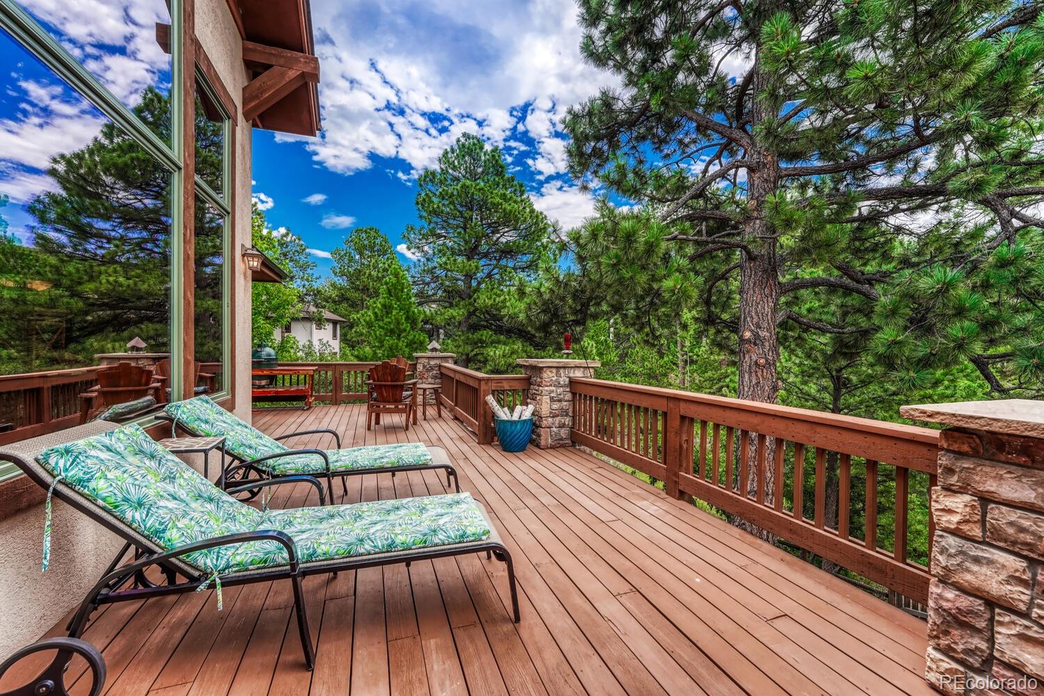 2392 Saddleback Drive