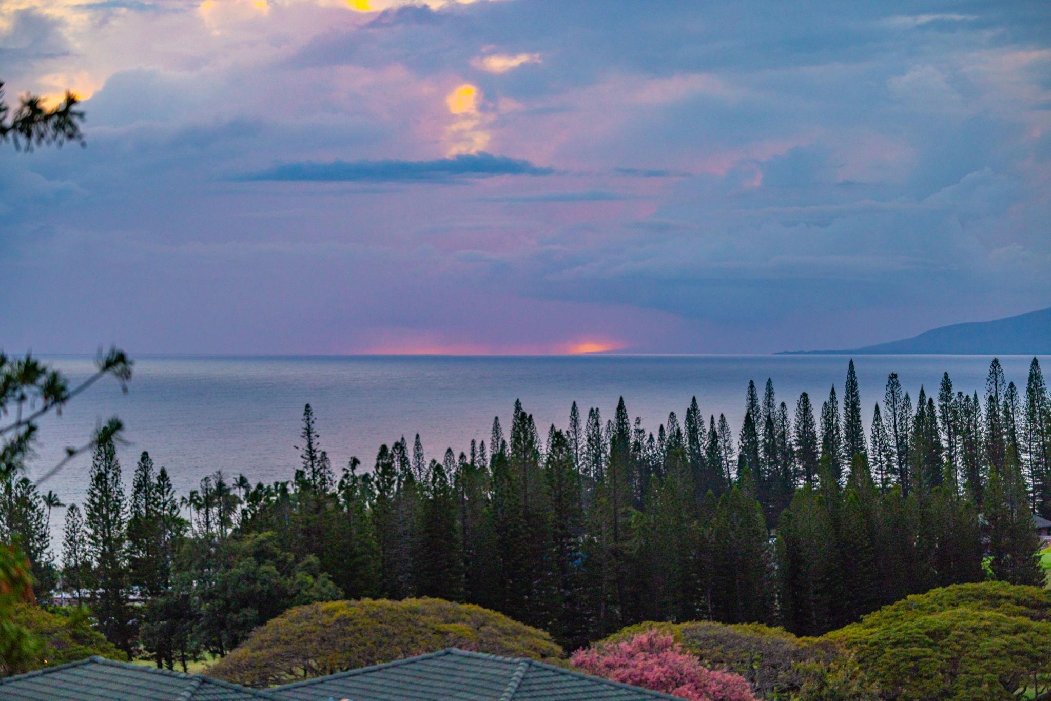 500 Kapalua Dr Unit: 25V 3-4