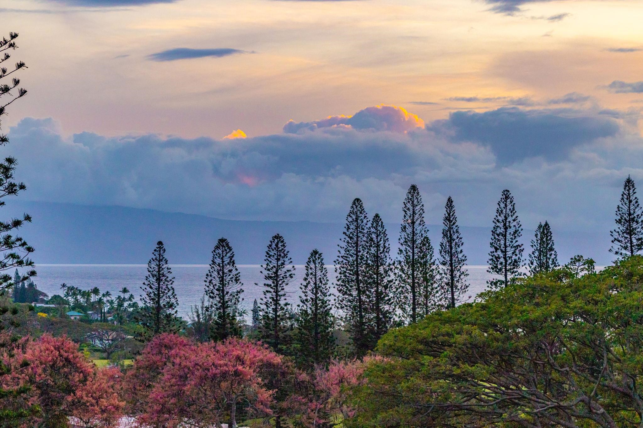 500 Kapalua Dr Unit: 25V 3-4