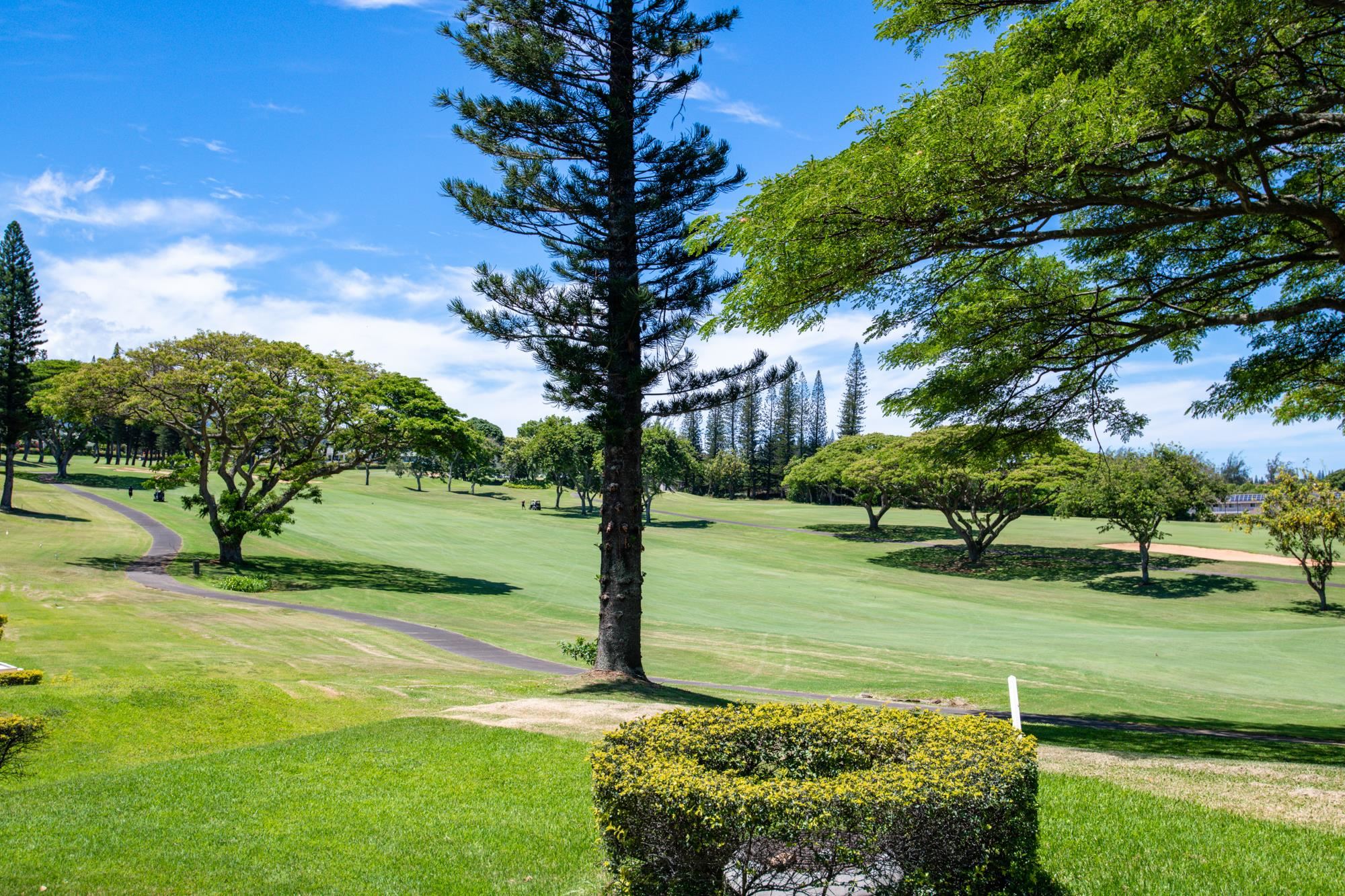 500 KAPALUA Dr Unit: 14 P 3-4