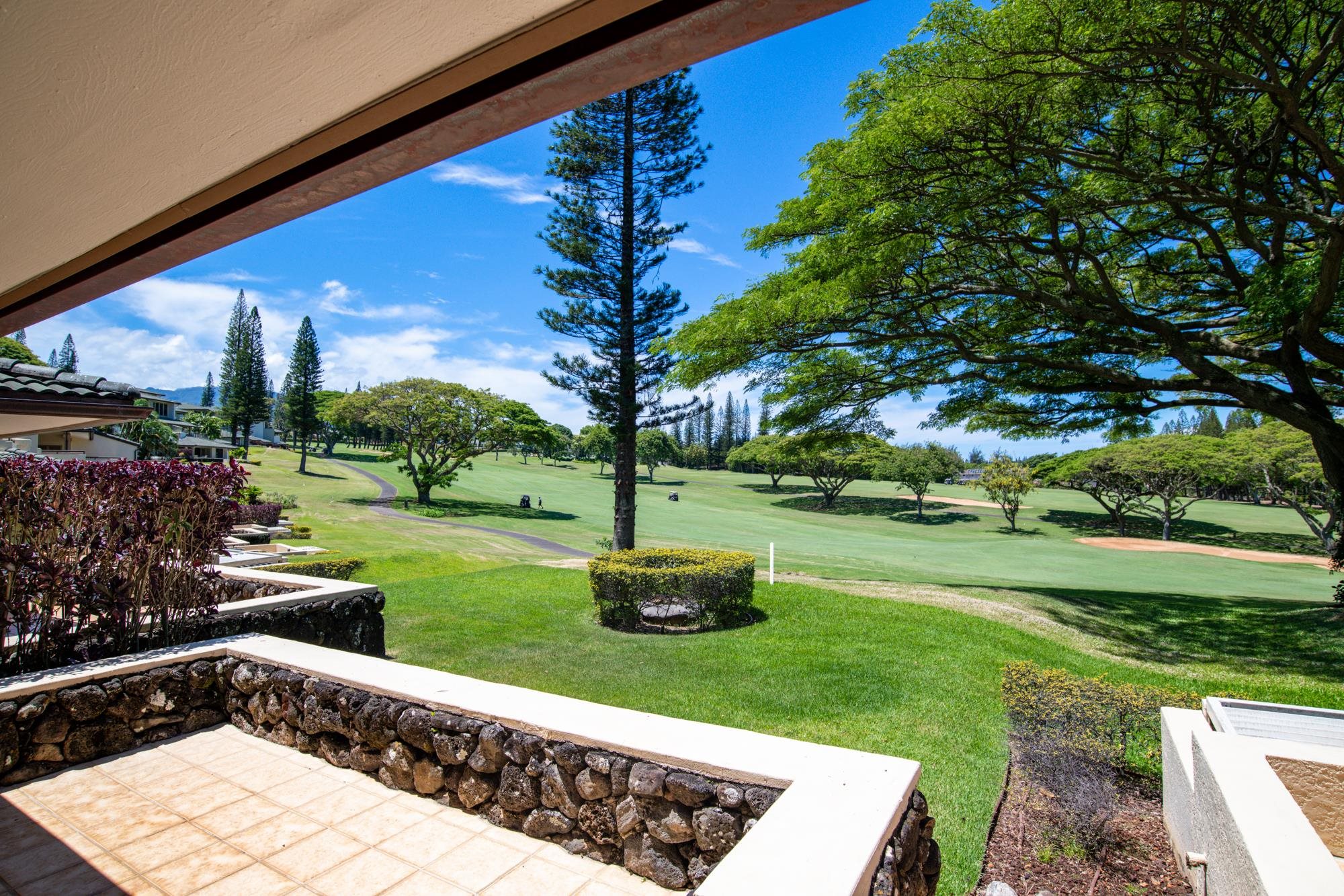 500 KAPALUA Dr Unit: 14 P 3-4