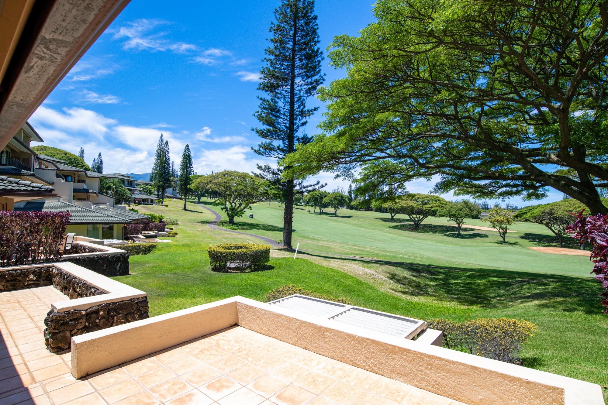 500 KAPALUA Dr Unit: 14 P 3-4