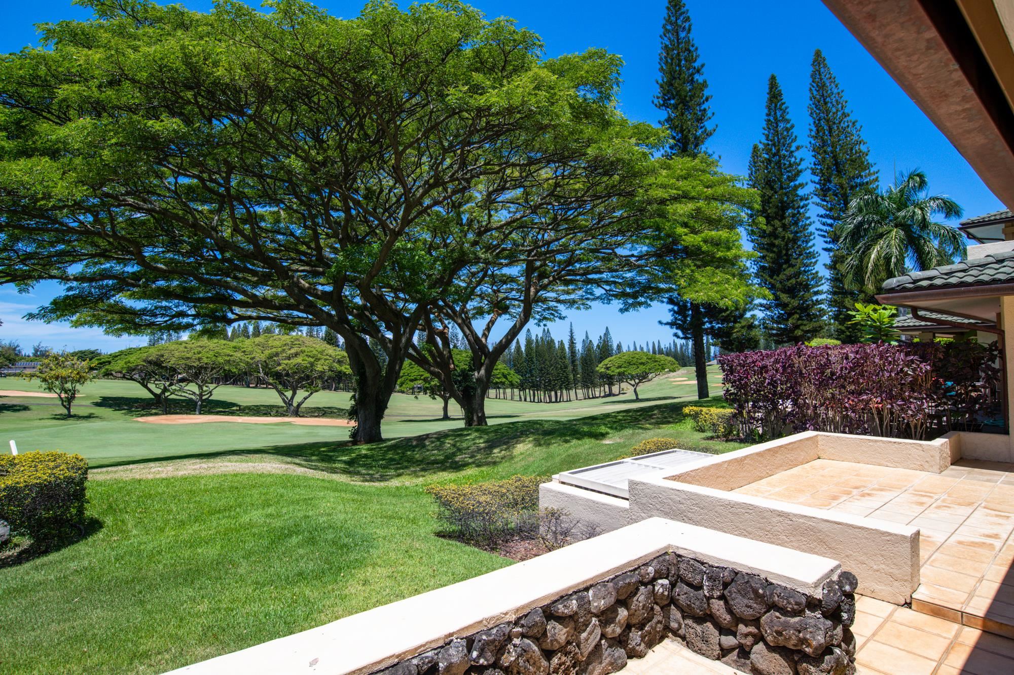 500 KAPALUA Dr Unit: 14 P 3-4