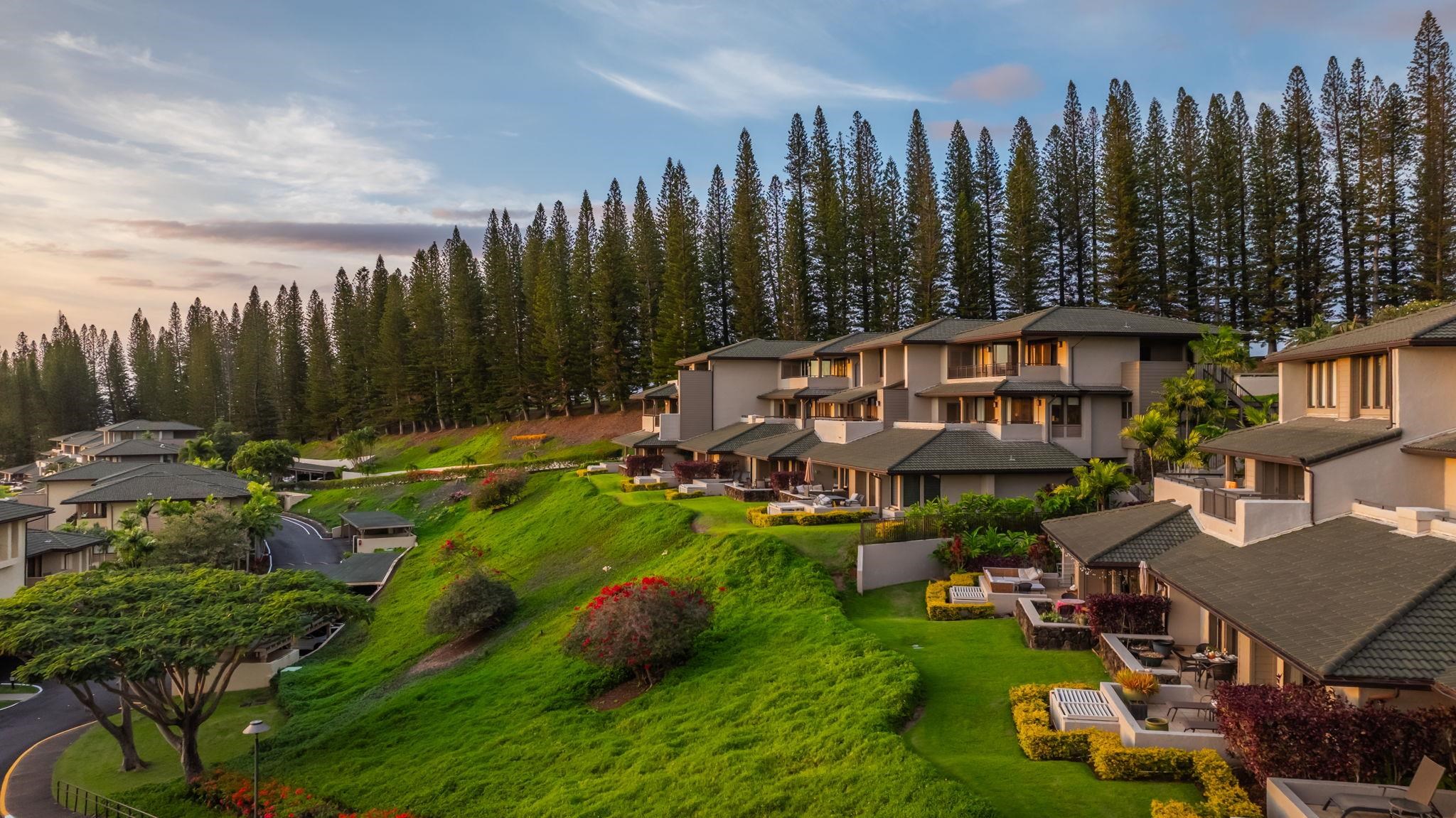 Hillside residences with landscaped grounds and tall pine trees in warm evening light.