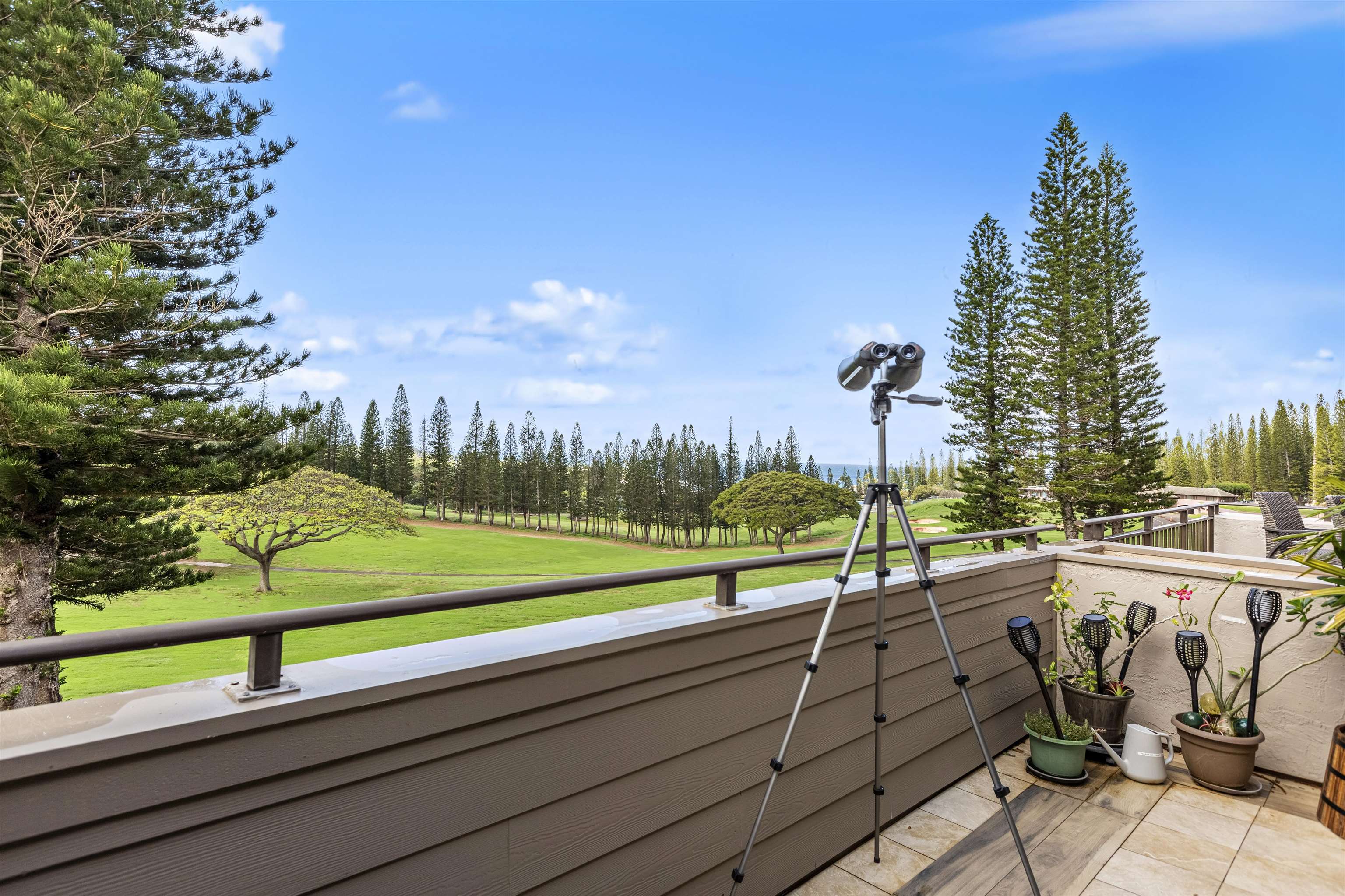 500 KAPALUA Dr Unit: 12T-1