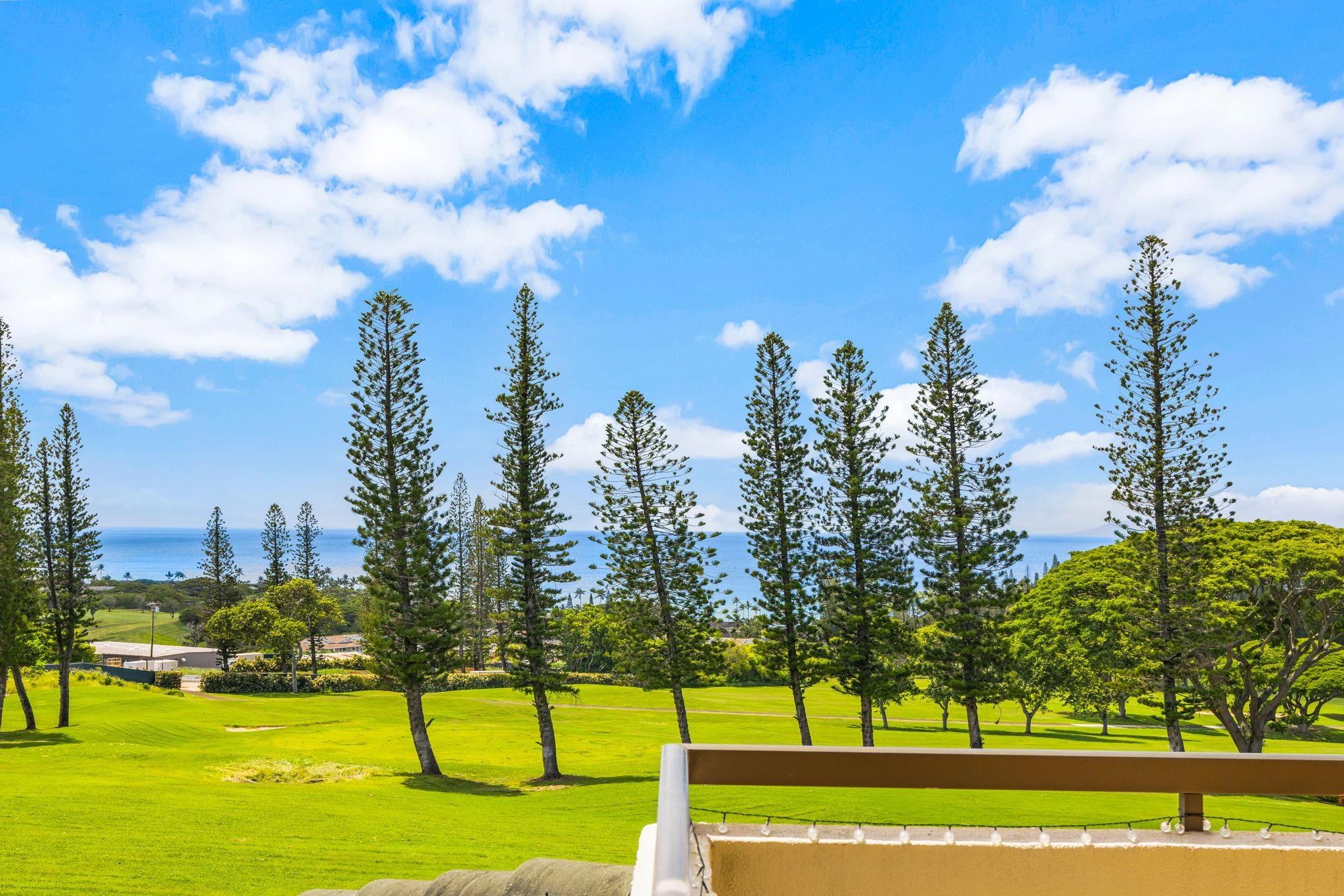 500 KAPALUA Dr Unit: 26T/5/6