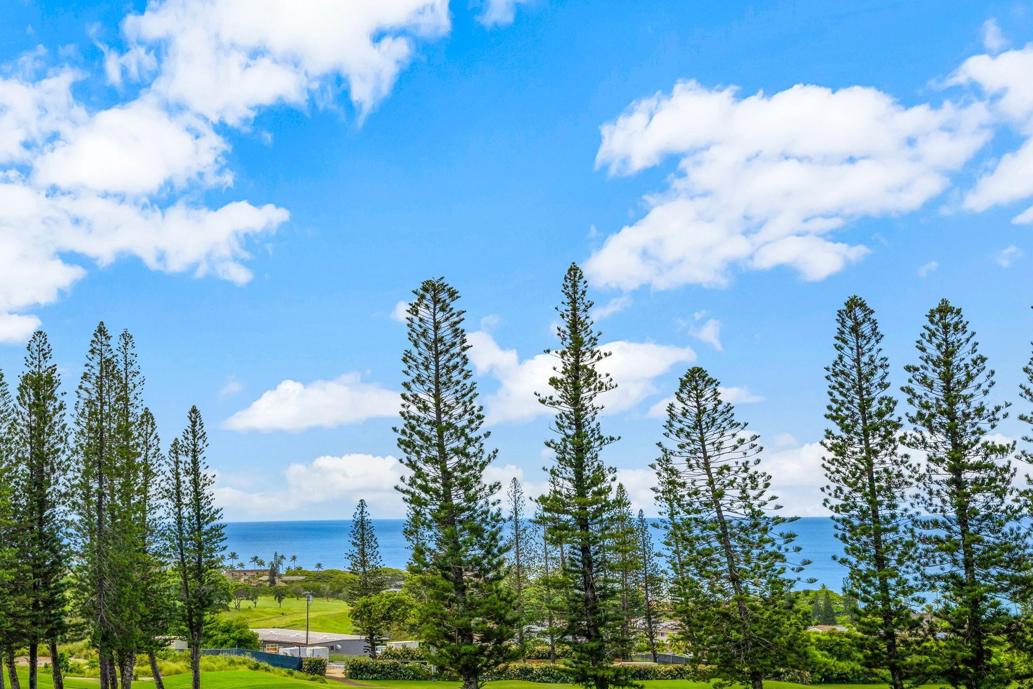 500 KAPALUA Dr Unit: 26T/5/6
