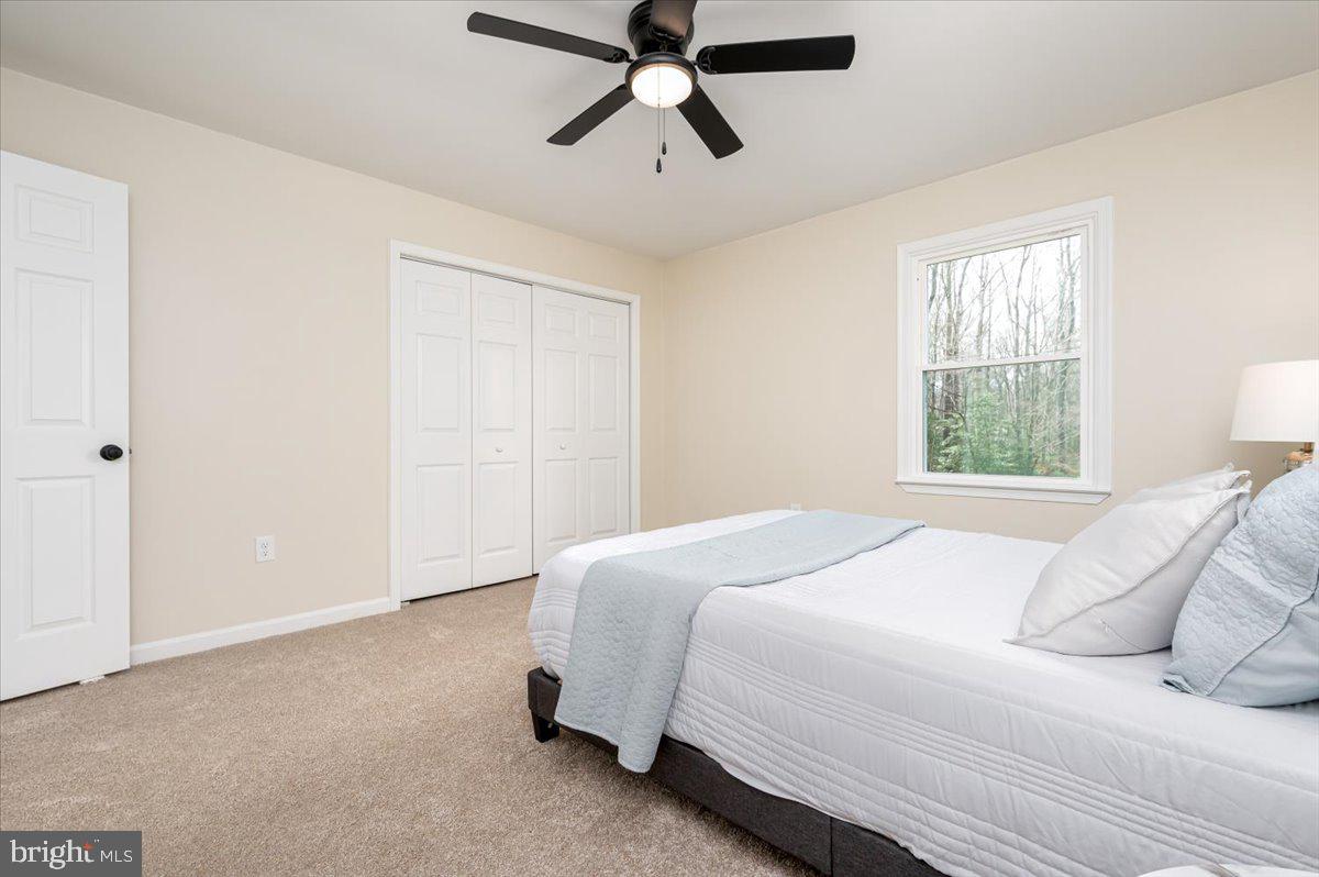 11528 Wolf Howl Ln