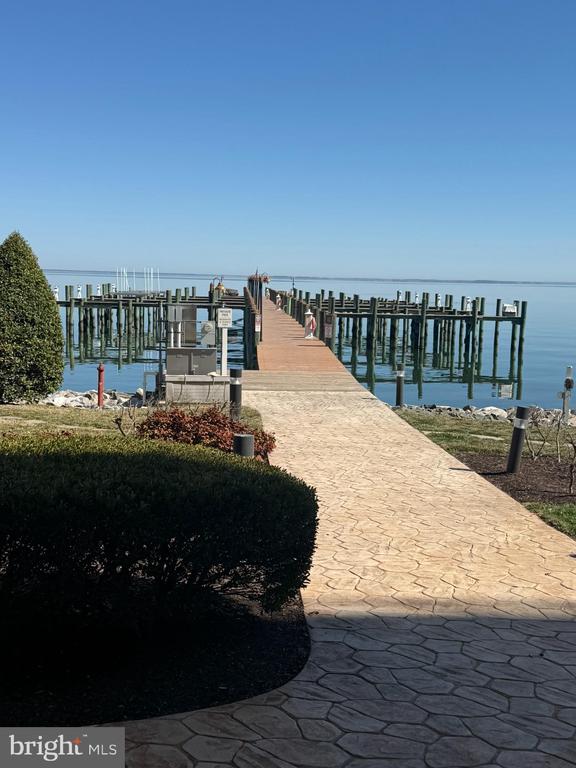 8501 BAYSIDE ROAD 702