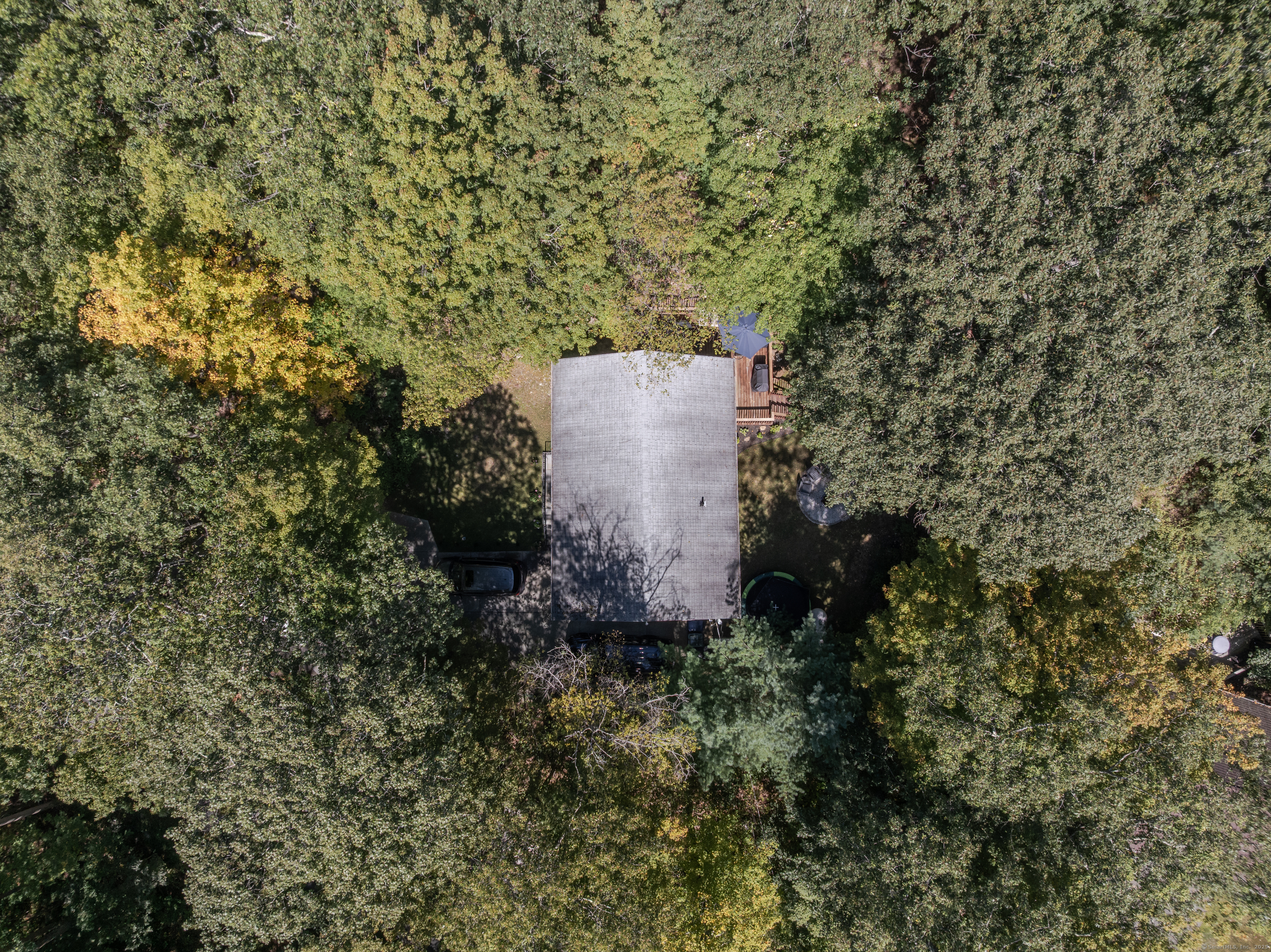 85 Padanaram Road