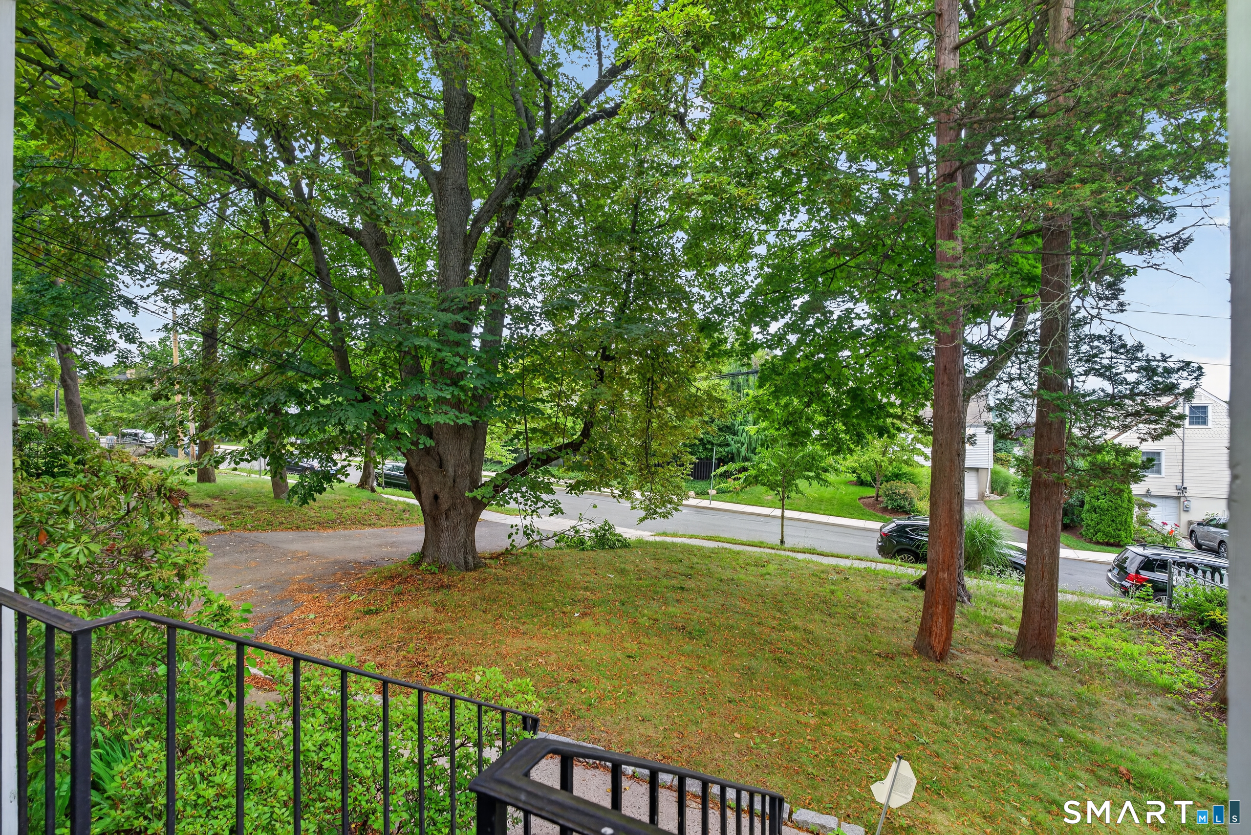 53 1/2 Elmwood Avenue