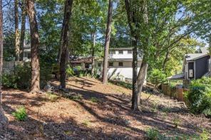 Wooded backyard on a slope with mature trees and a neighboring house at the edge.