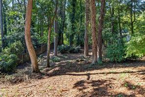 Wooded yard with mature trees and leaf-covered ground.