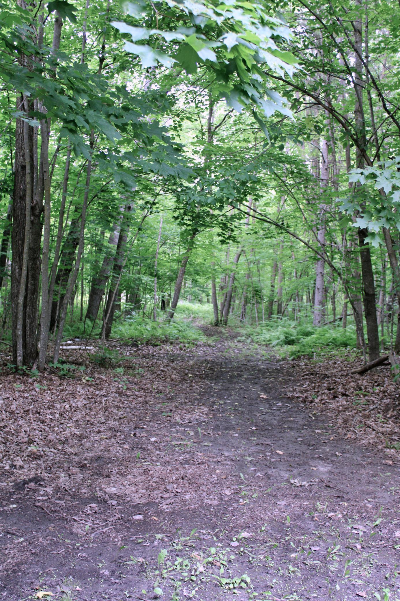 3138 County 45 NW