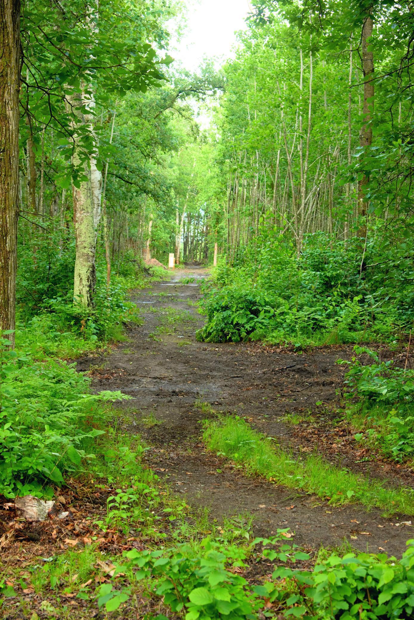 1496 Willard Lake Road NW