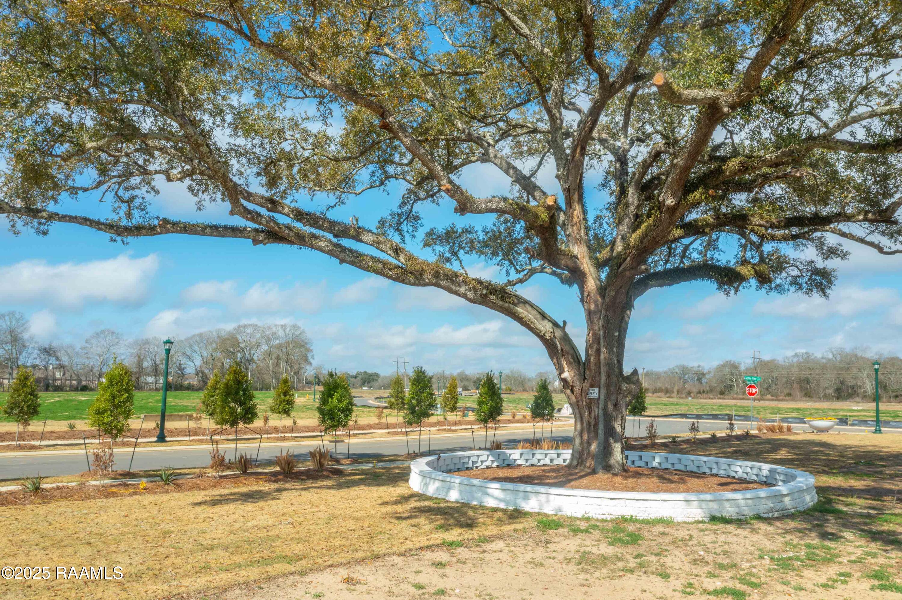 303 Castle Vine Way