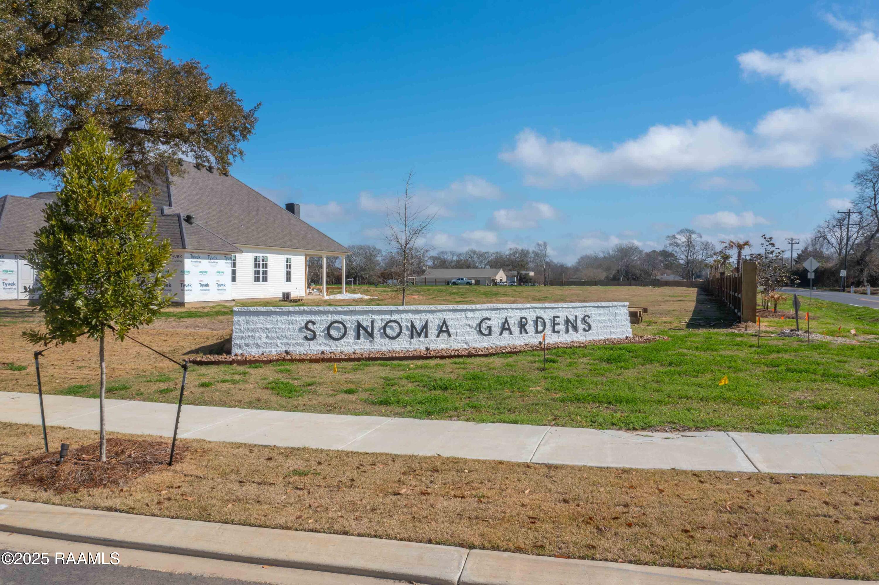 303 Castle Vine Way