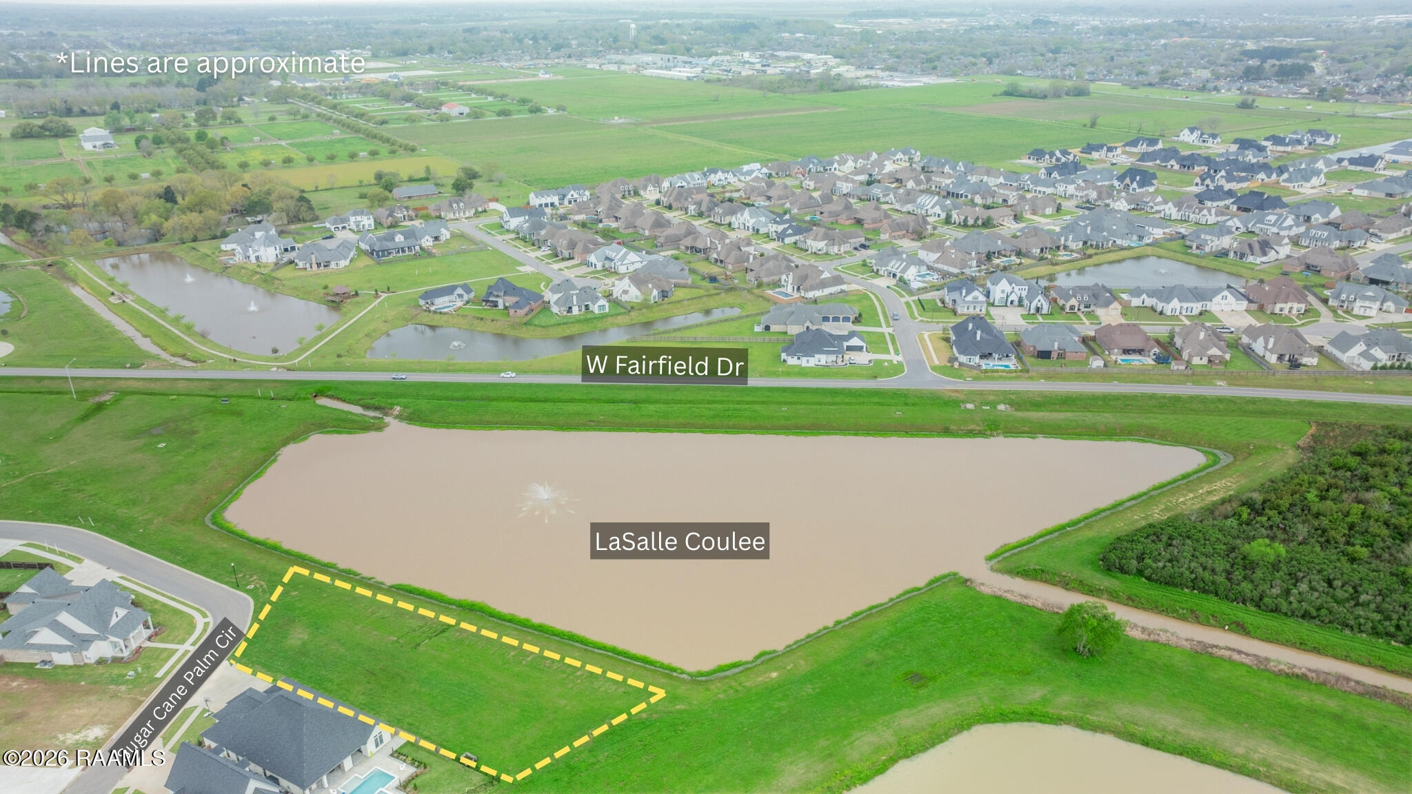 103 Sugar Cane Palm Circle