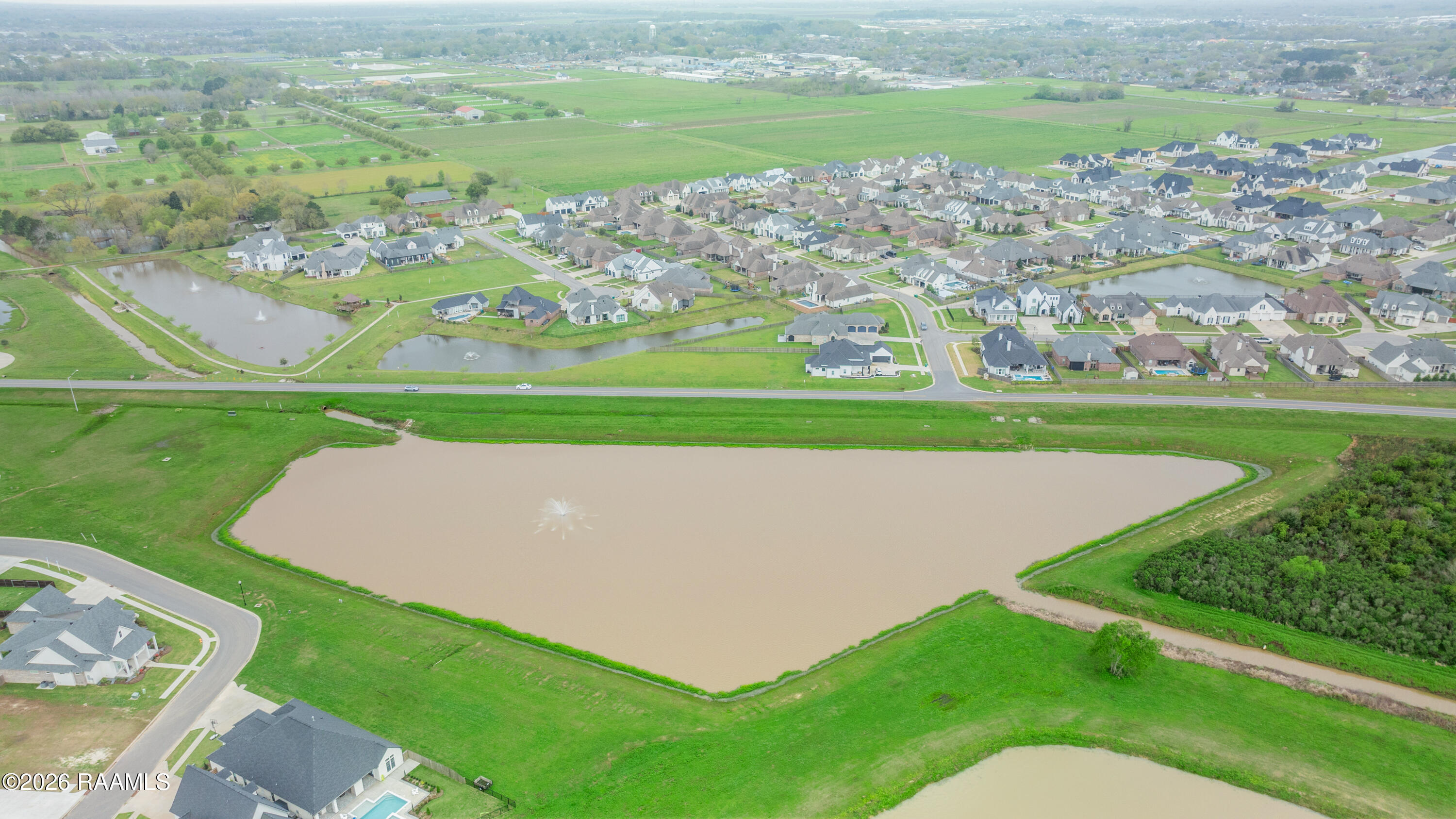 103 Sugar Cane Palm Circle