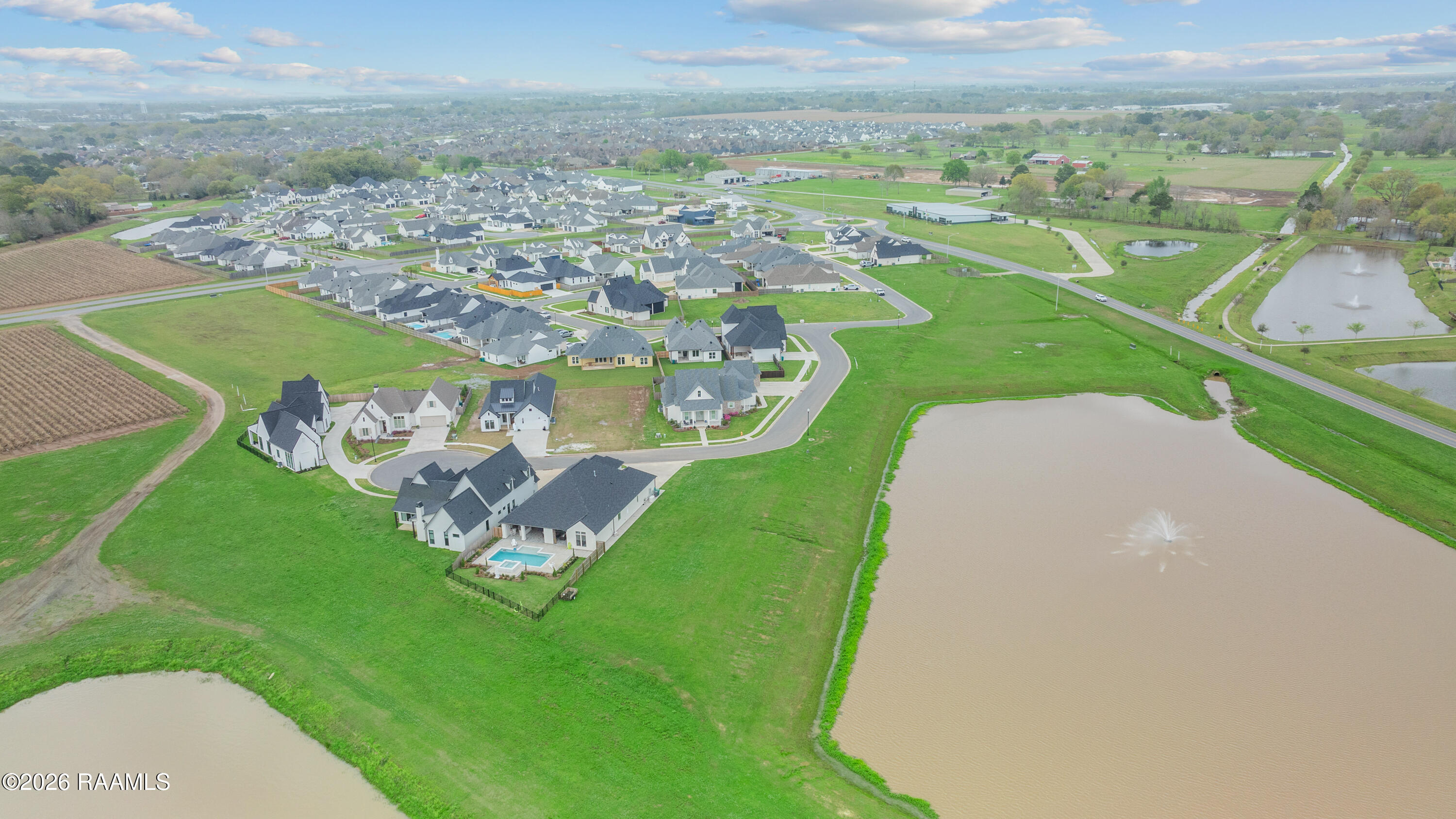 103 Sugar Cane Palm Circle