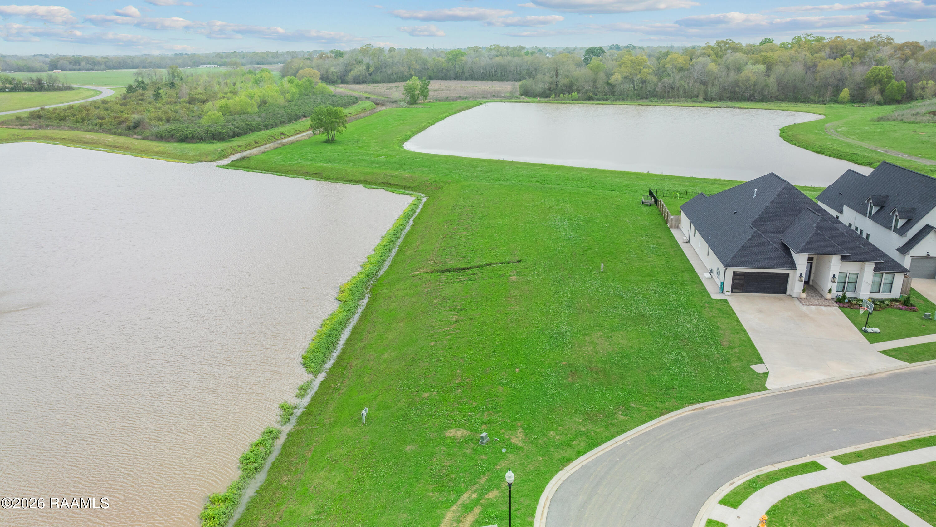 103 Sugar Cane Palm Circle